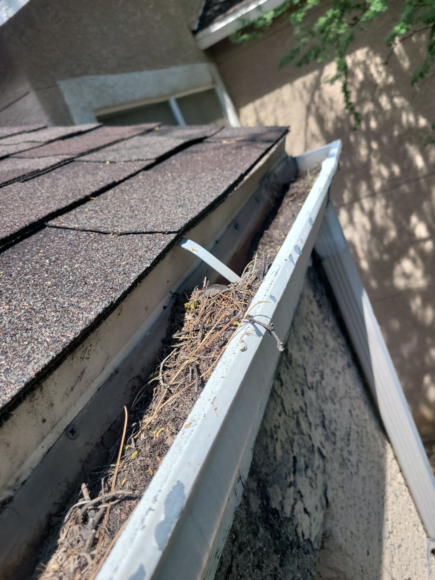 HOA gutter cleaning before photo Sierra Vista, AZ.