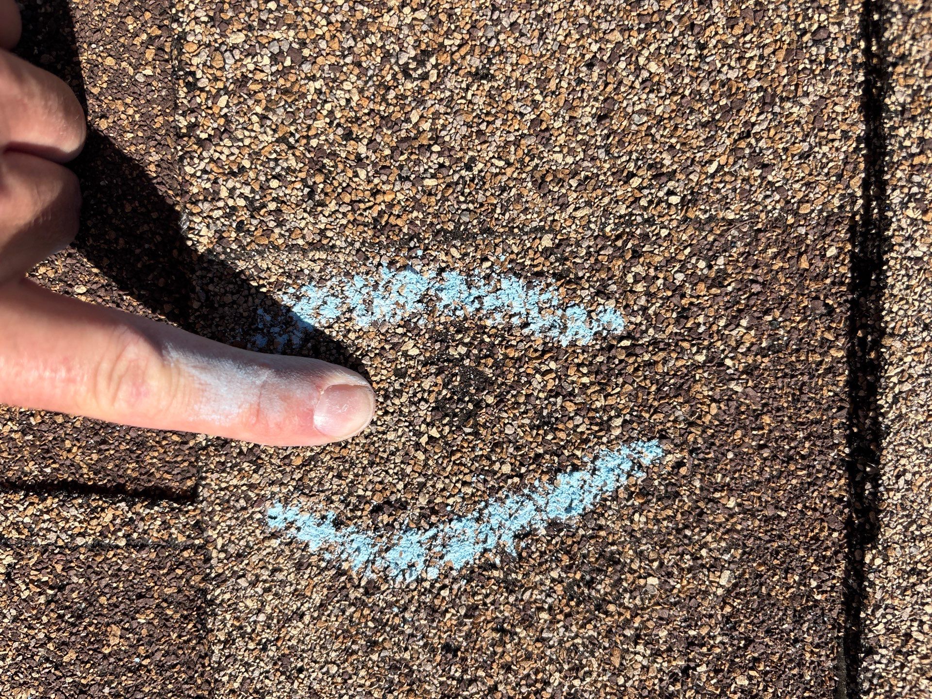 Nicole S by Boss Hogg Roofing