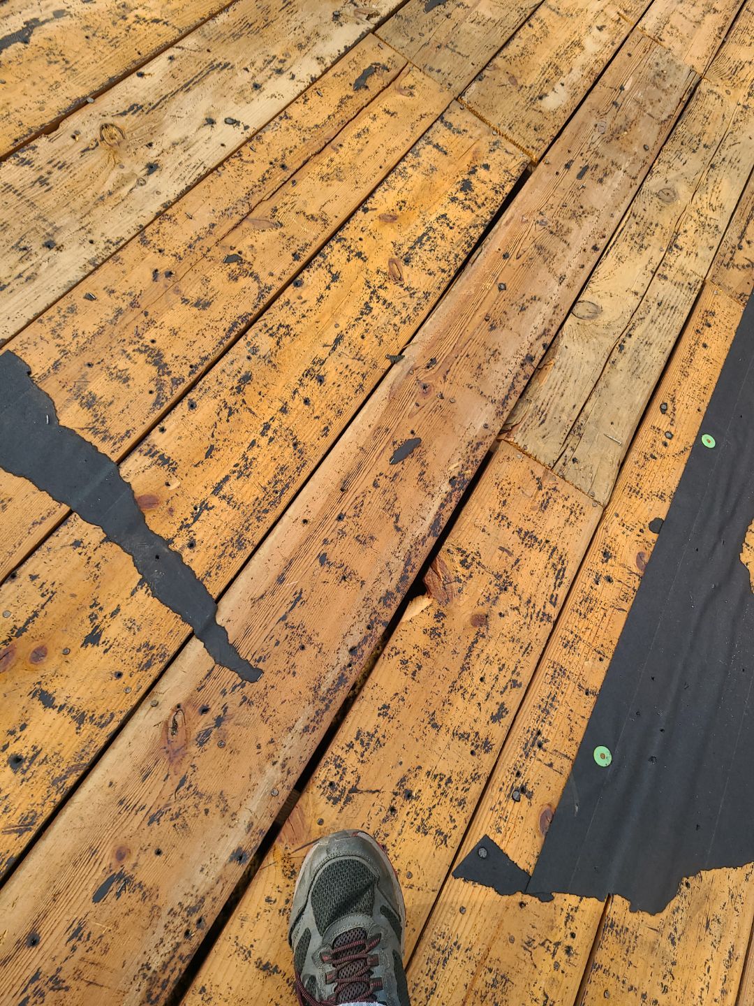 Alexandria CertainTeed Landmark Pro Roof in Max Def Charcoal Black by RM Banning, Inc.