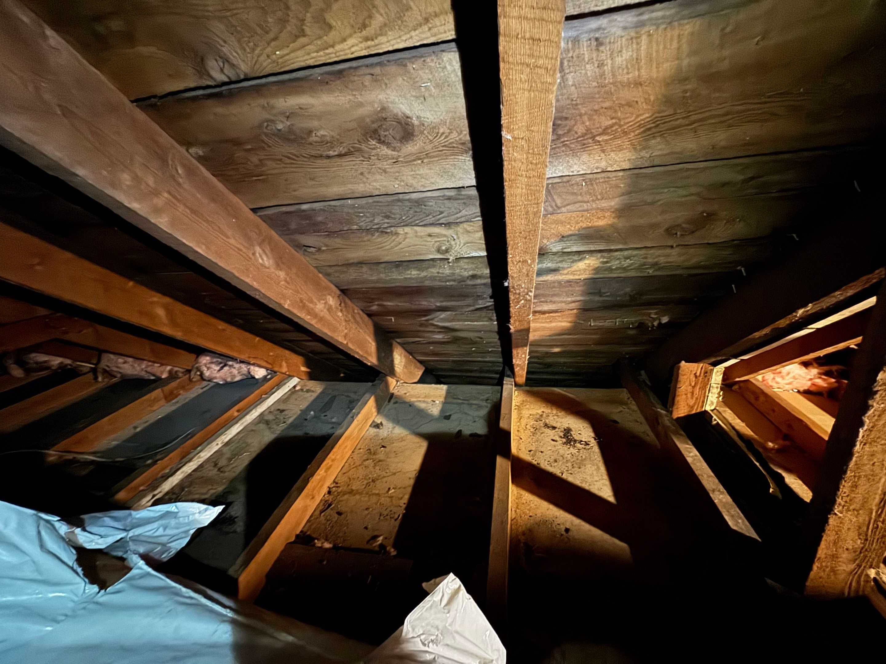 Attic Mold Remediation using Home Guarantee by Home Guarantee, LLC