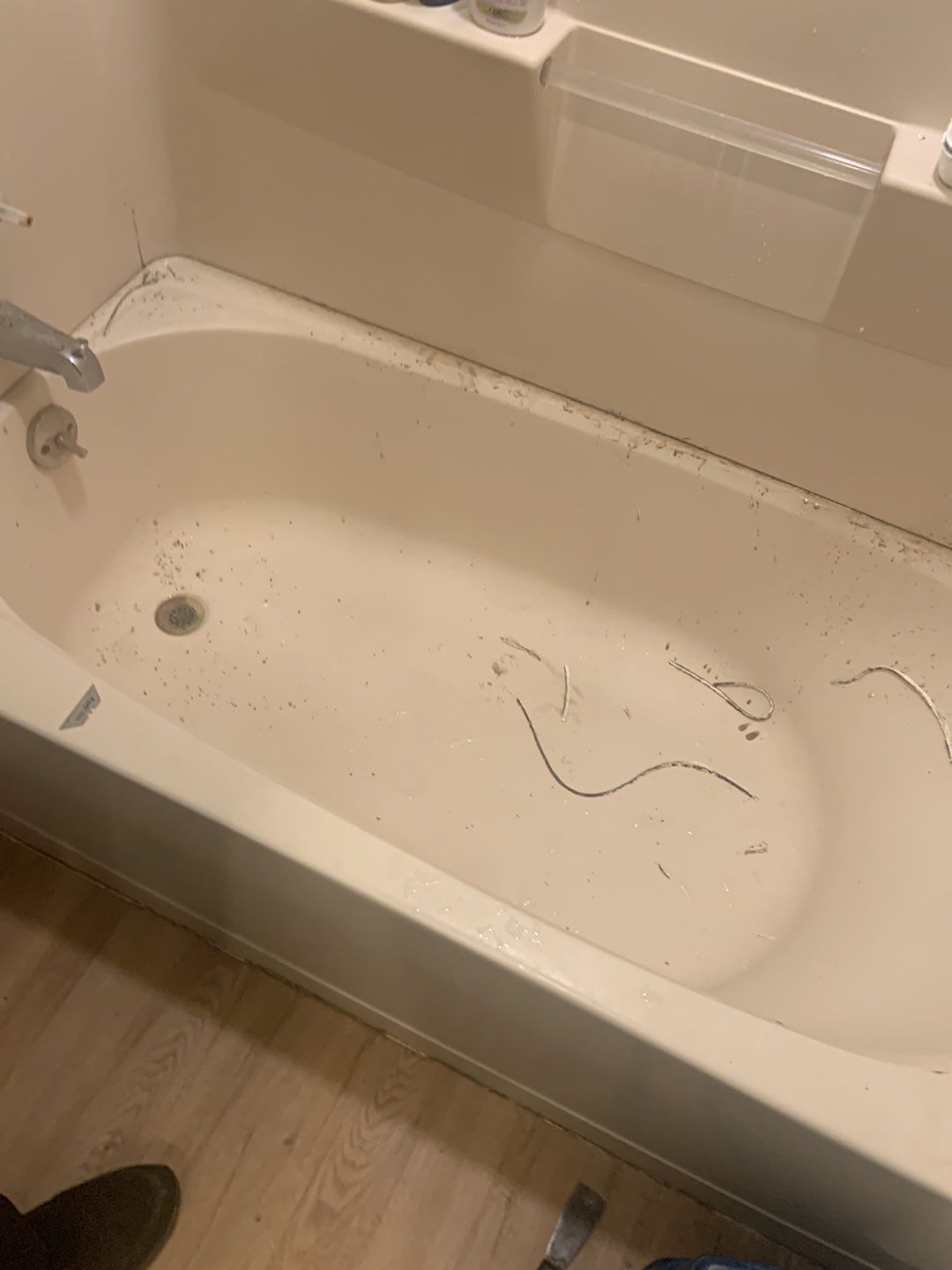 Bathroom Recaulk Job by A1 NERDY HOMES LLC