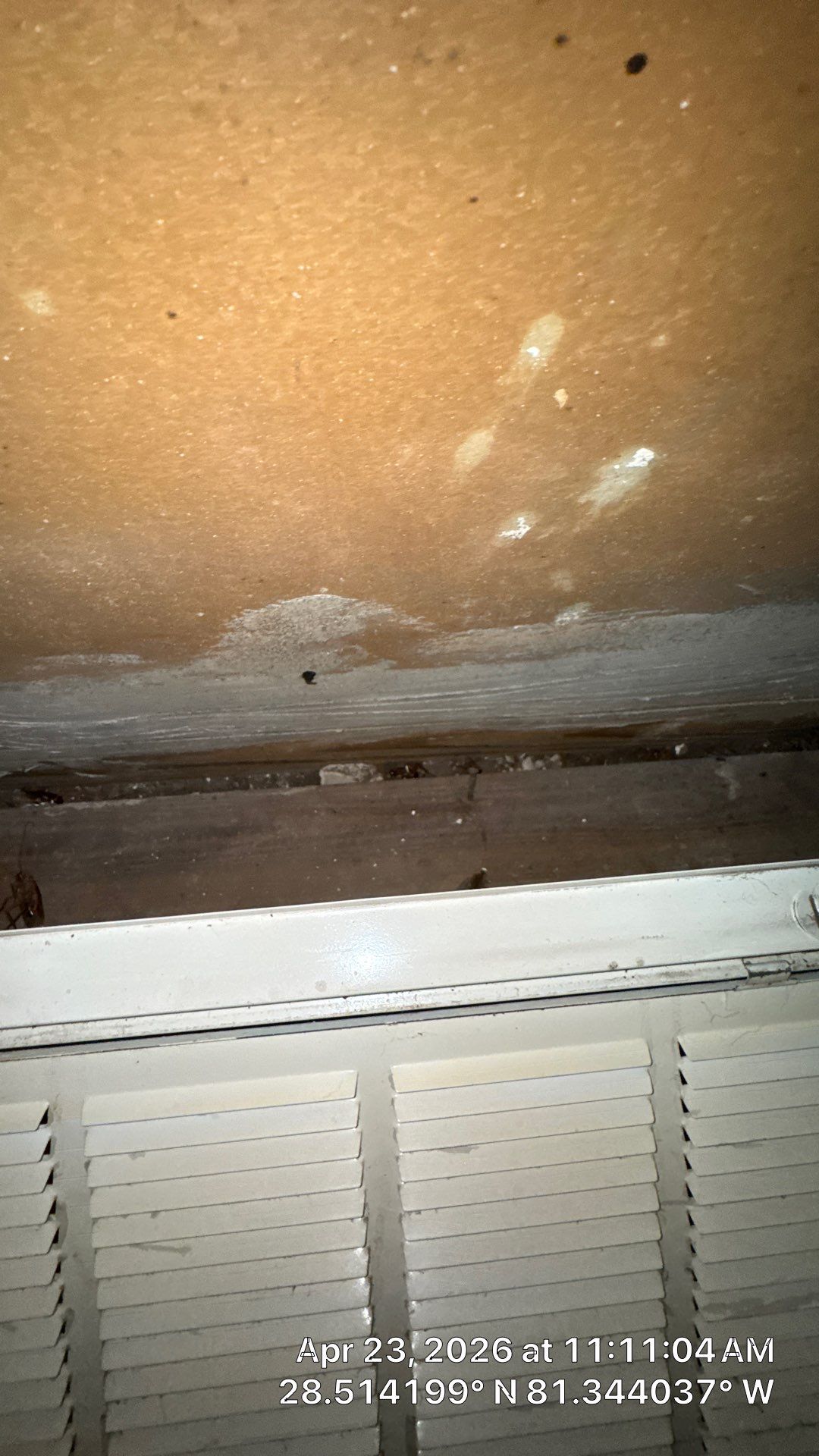 Air Duct Cleaning in Orlando by Hygienic Air, Inc