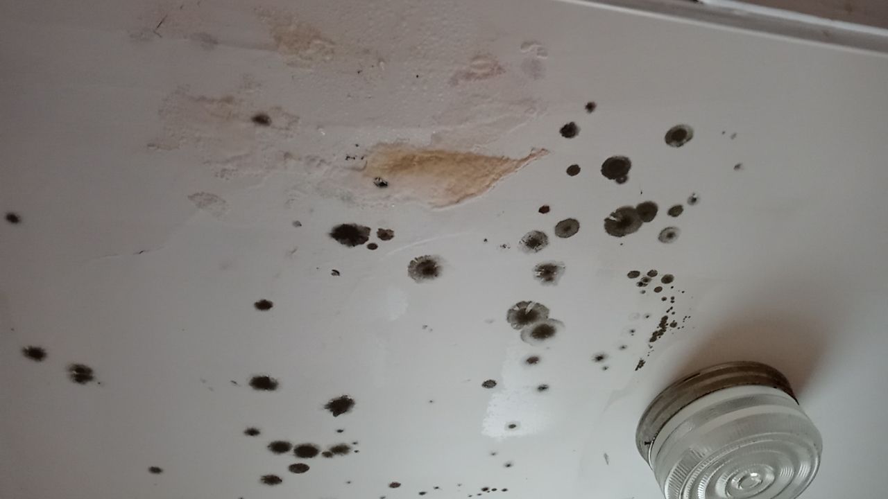 Mold Remediation in a Home in Louisville, KY by ANR Restoration