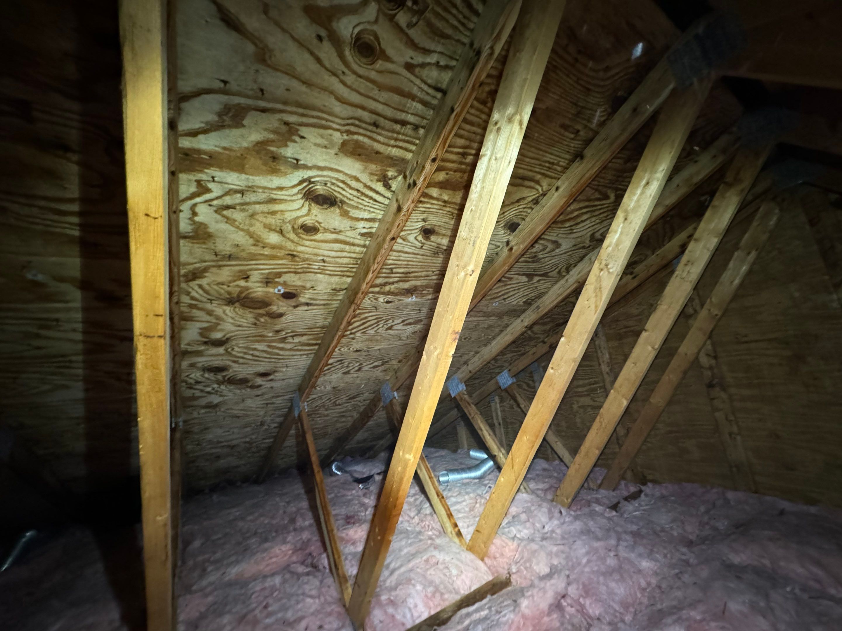 Attic Mold Remediation using Home Guarantee by Home Guarantee, LLC