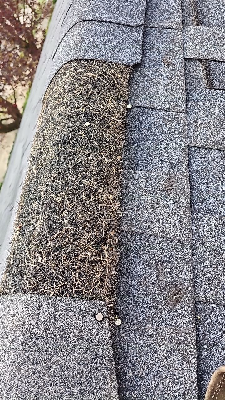 ATLAS PINNACLE COLOR: BLACK SHADOW by Eagle Eye Roofing