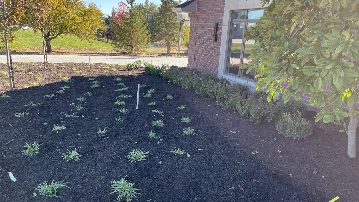 Landscape Bed Updates.  by New Horizon Landscapes