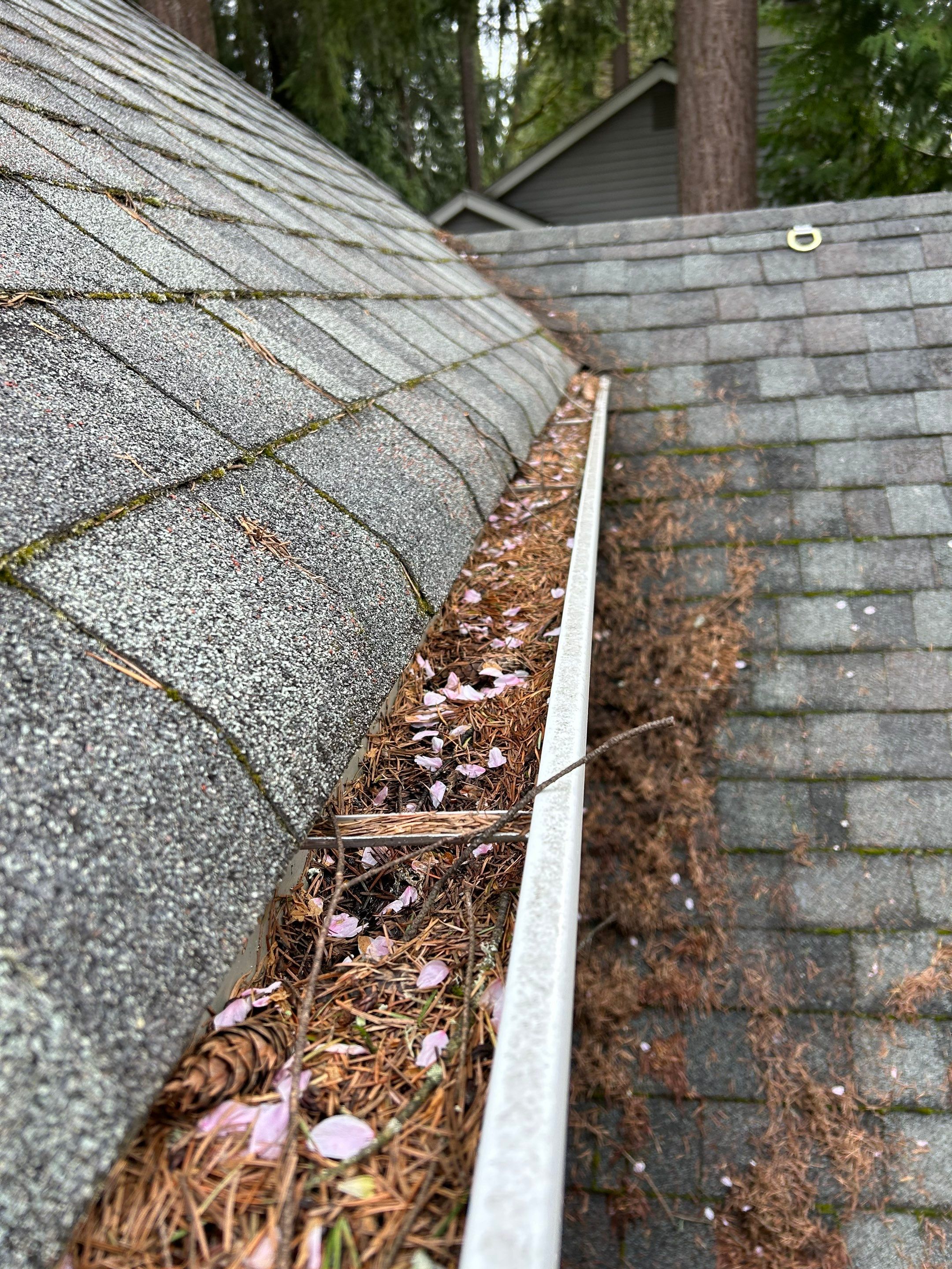 Project in Redmond by Peaks and Valleys Construction