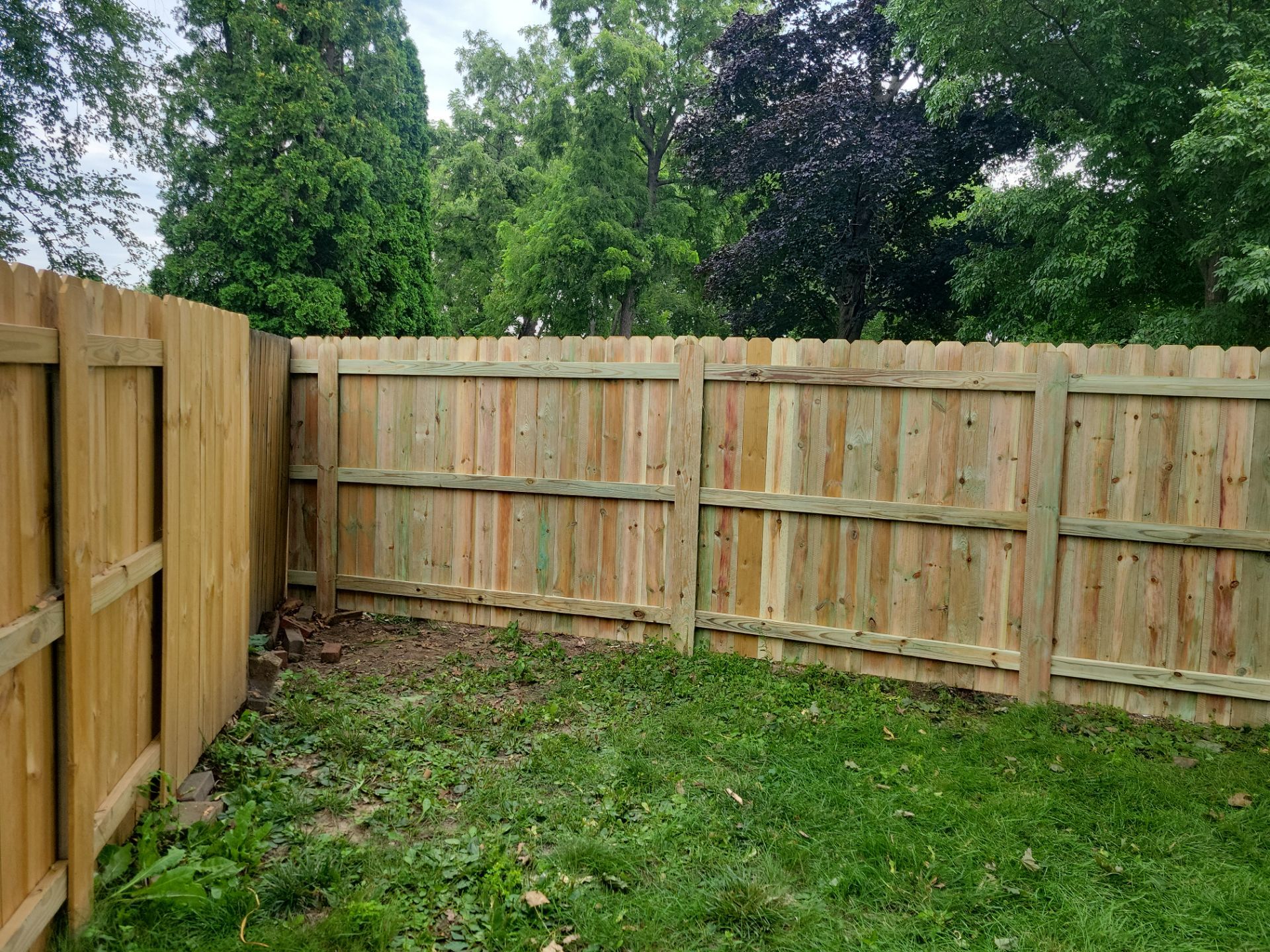 Pressure-Treated Wood Privacy Fence Replacement in Waterloo by Perfect Picket Fence and Stain