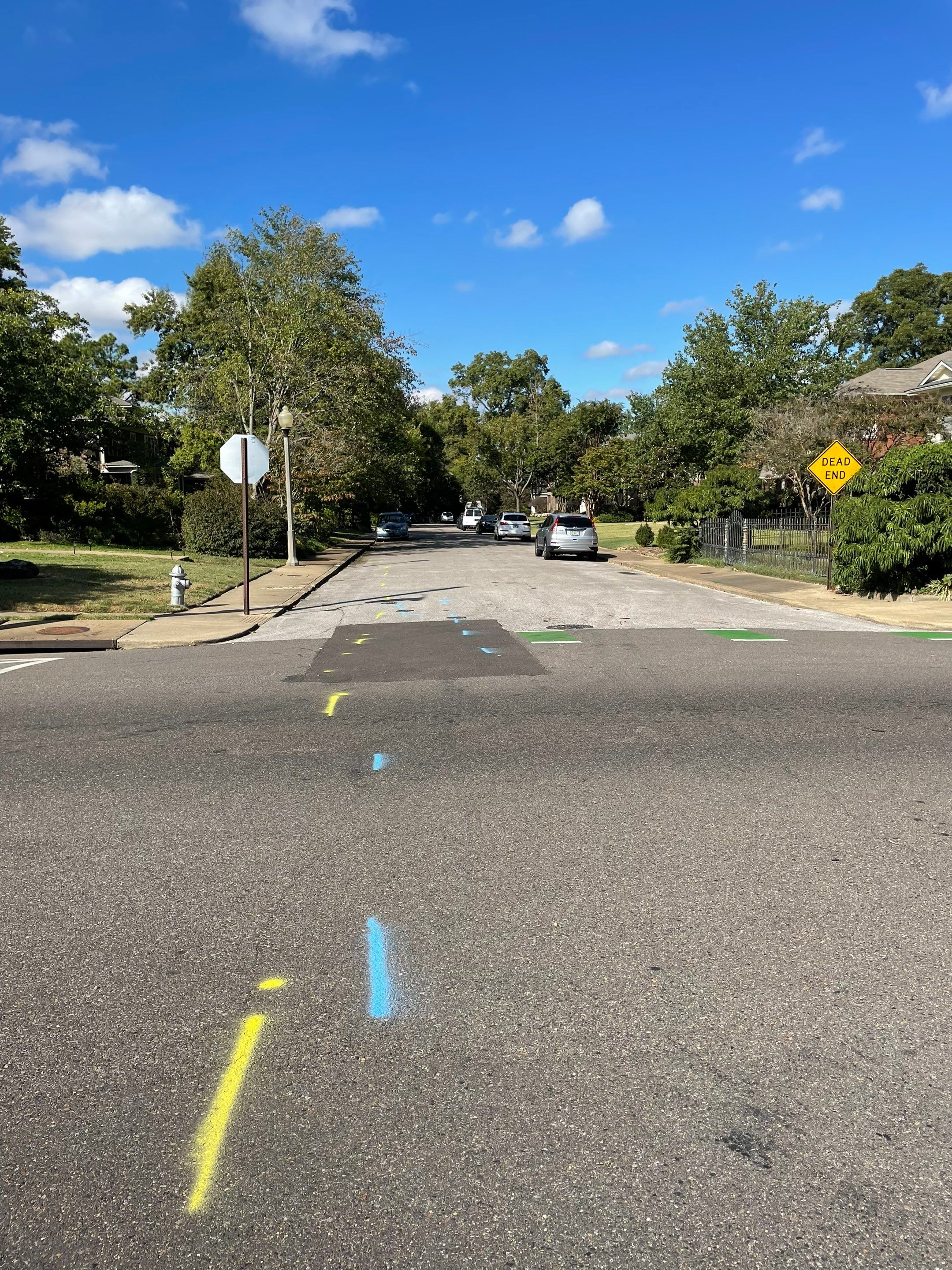 Utility Locate for Survey Purposes by Alsip Locating Service, LLC