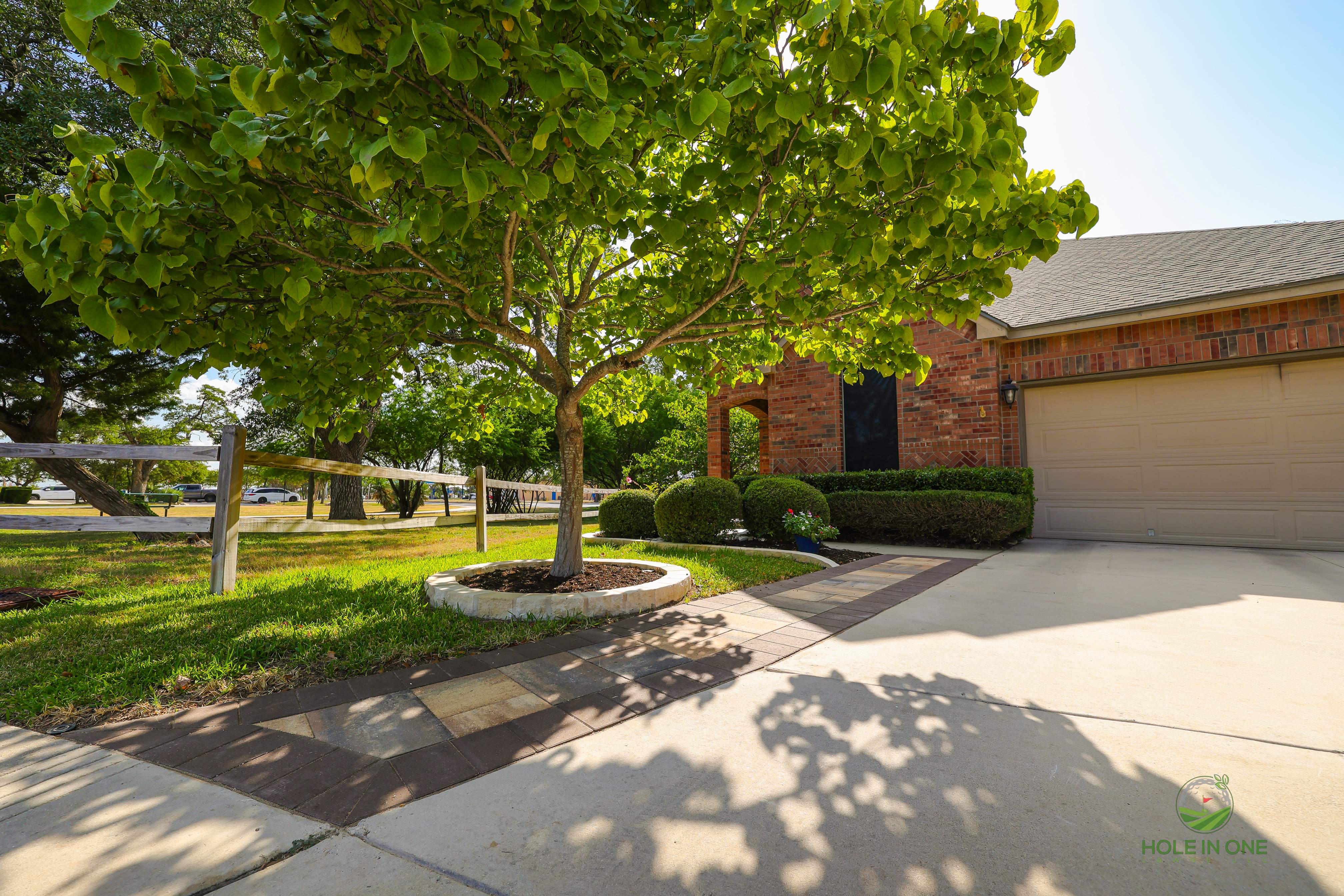 Wortham Oak, San Antonio TX by Hole In One Lawns, LLC