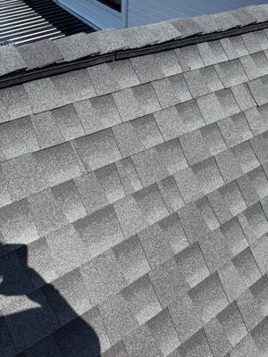 Project in Allen