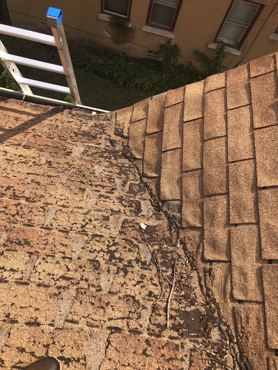 Roof Replacement using CertainTeed Landmark by 180 Contractors