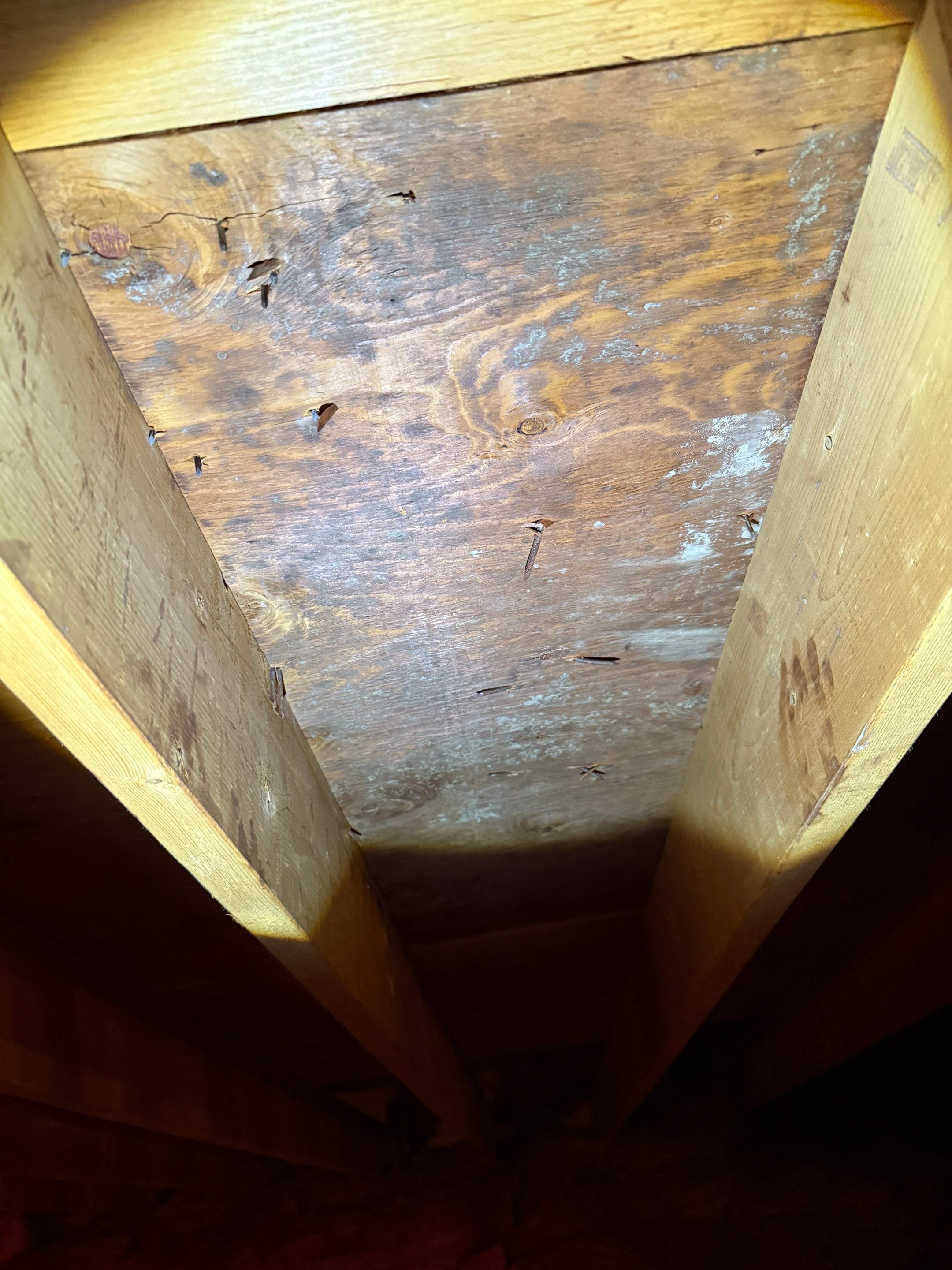 Asphalt Shingle Roof Replacement | Billerica, MA by Mighty Dog Roofing of Greater Middlesex County