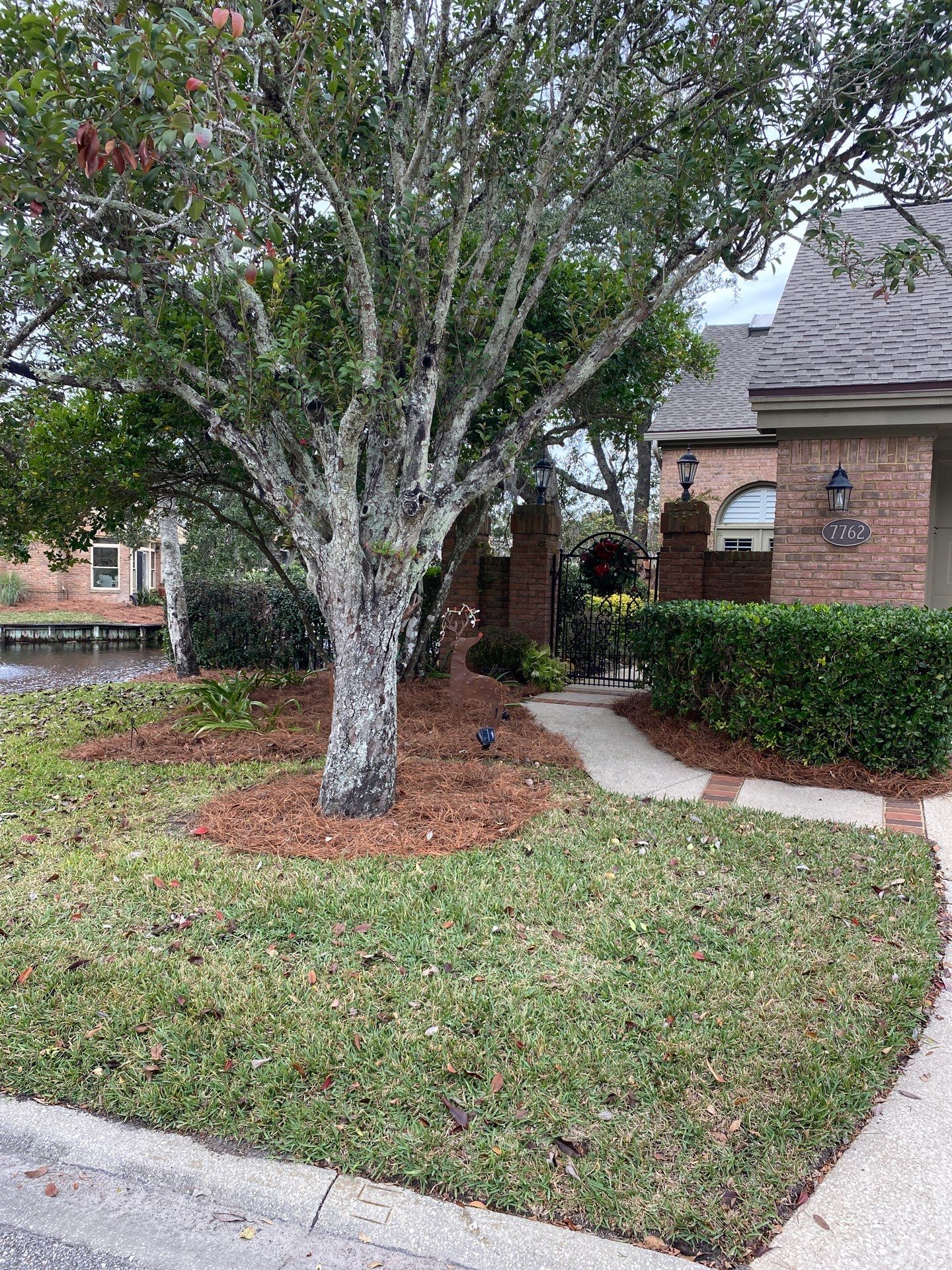 Deerwood Pointe | Tree Removal & Pine Straw Installation by ProGreen Services