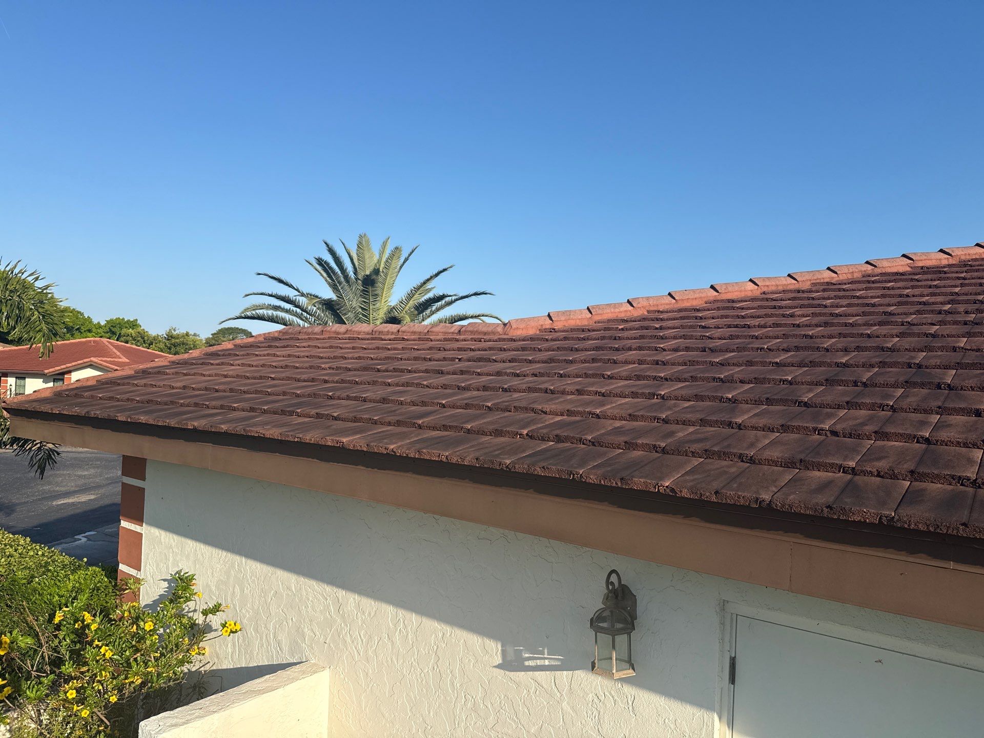 Tile Roof Cleaning – Vivenda at Bradenton I (5-Star Review & Plant Protection) by Sunshine AquaWash