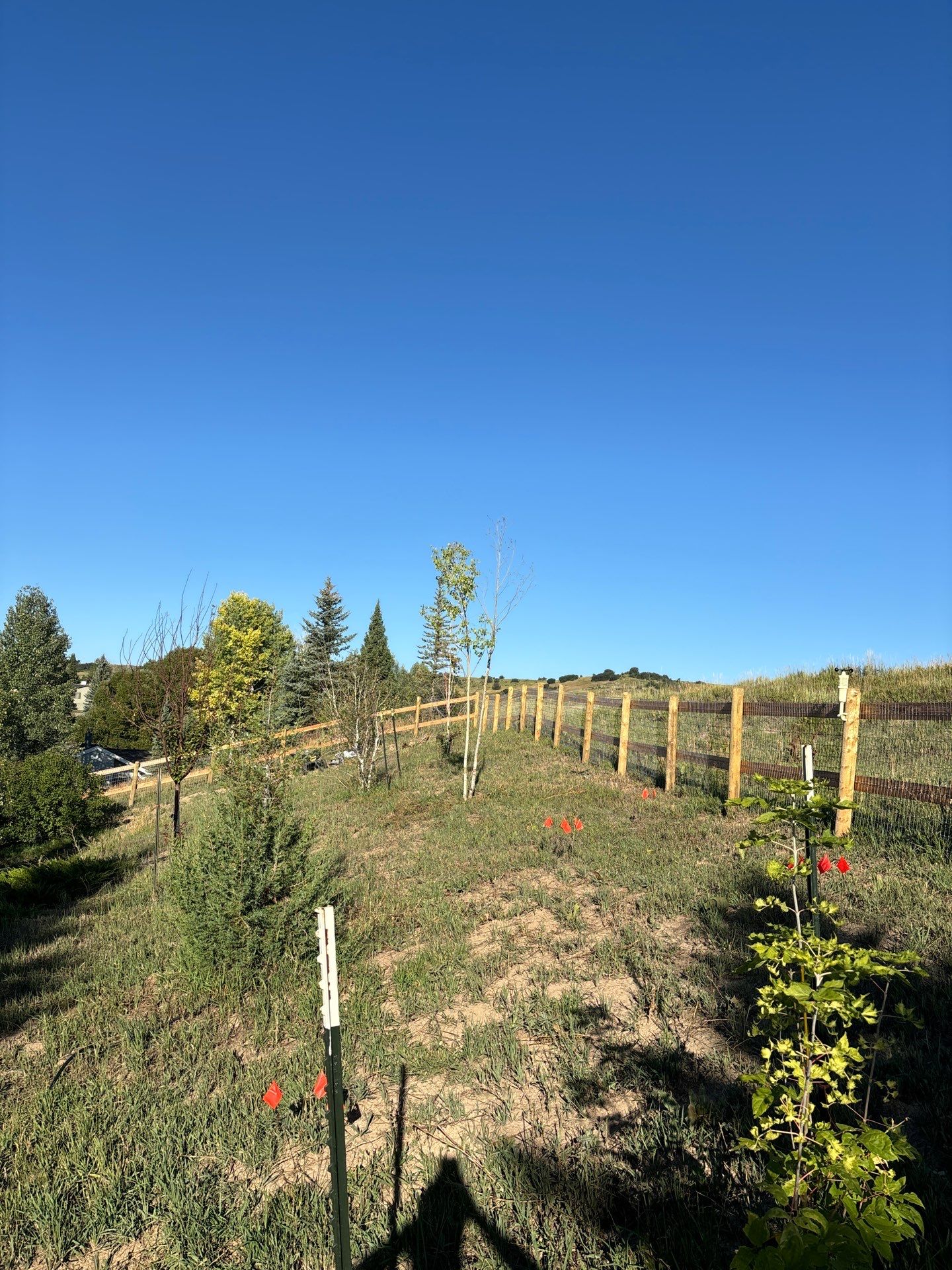 Property Management using seasonal maintenance by Gold Peak Property Management