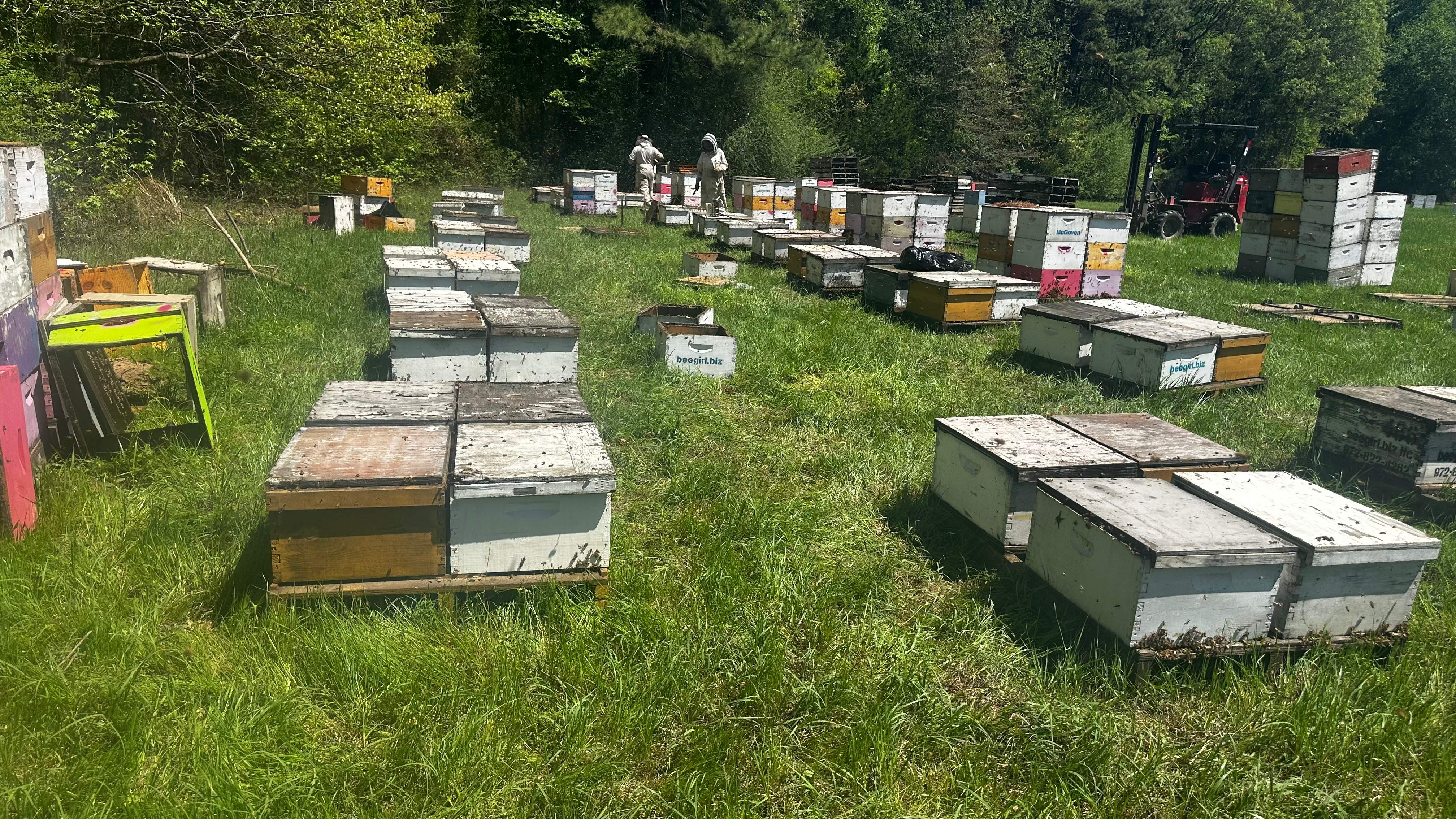 Traylor's Hay Meadow Apiary by Rockwall Honey Bee Company