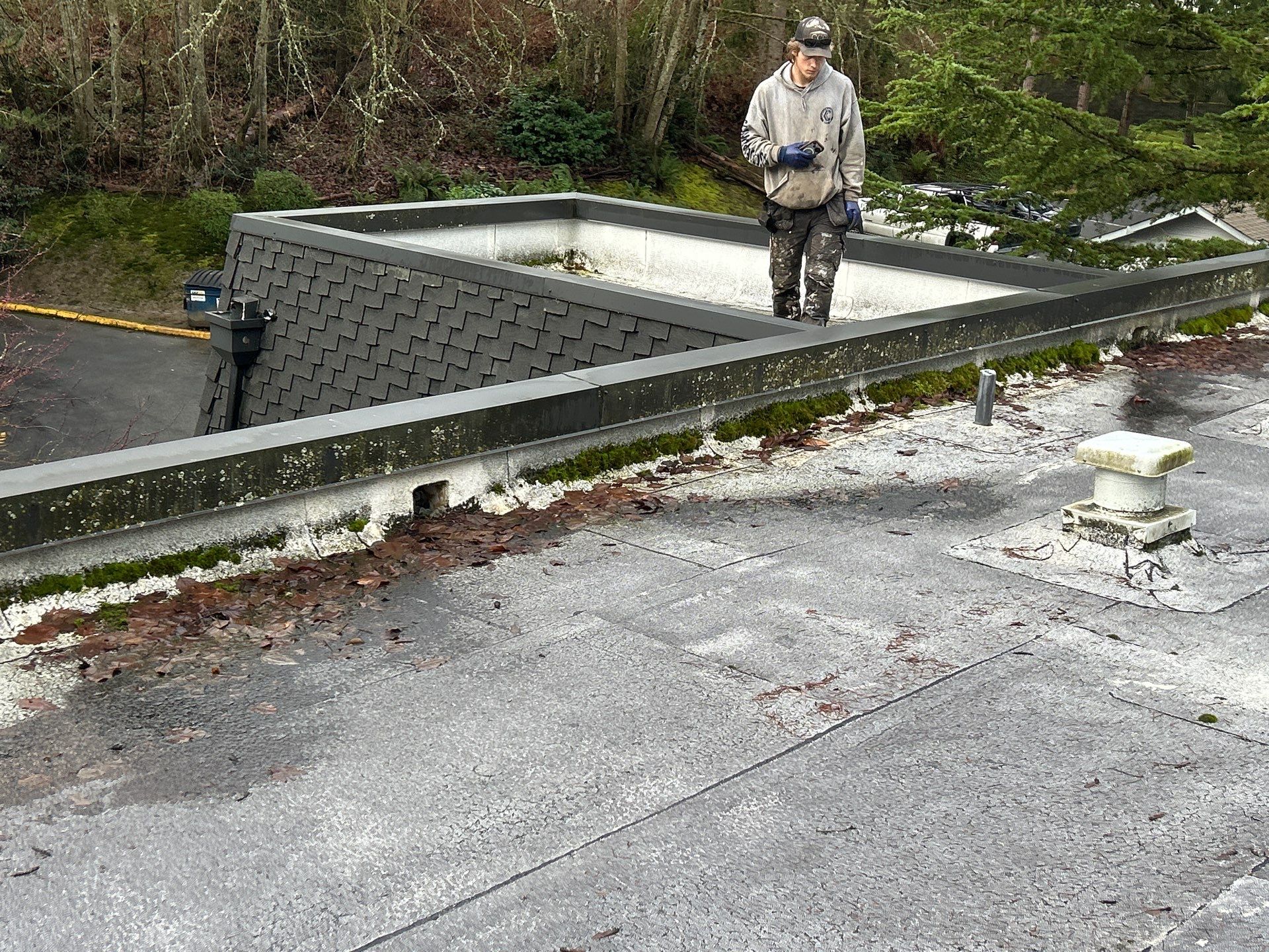 Project in Kirkland by Peaks and Valleys Construction
