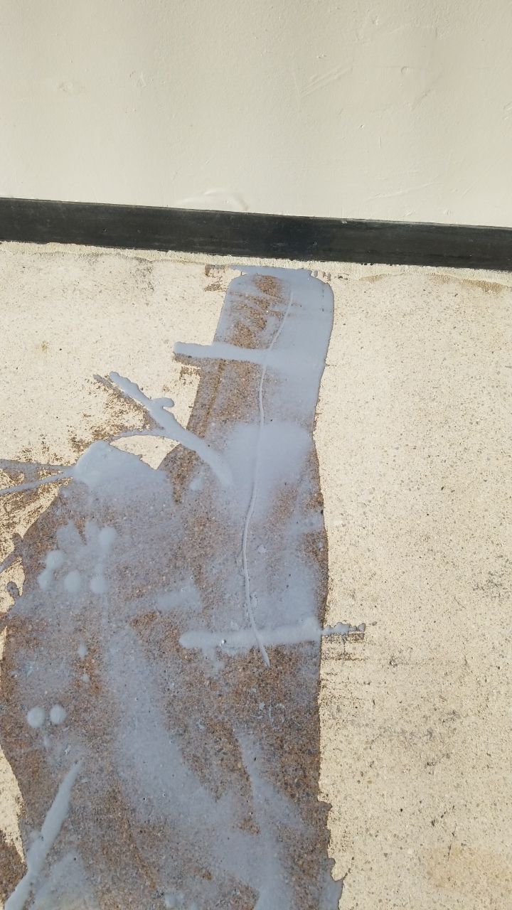Installers have Feline supervision by Spectrum Painting, LLC