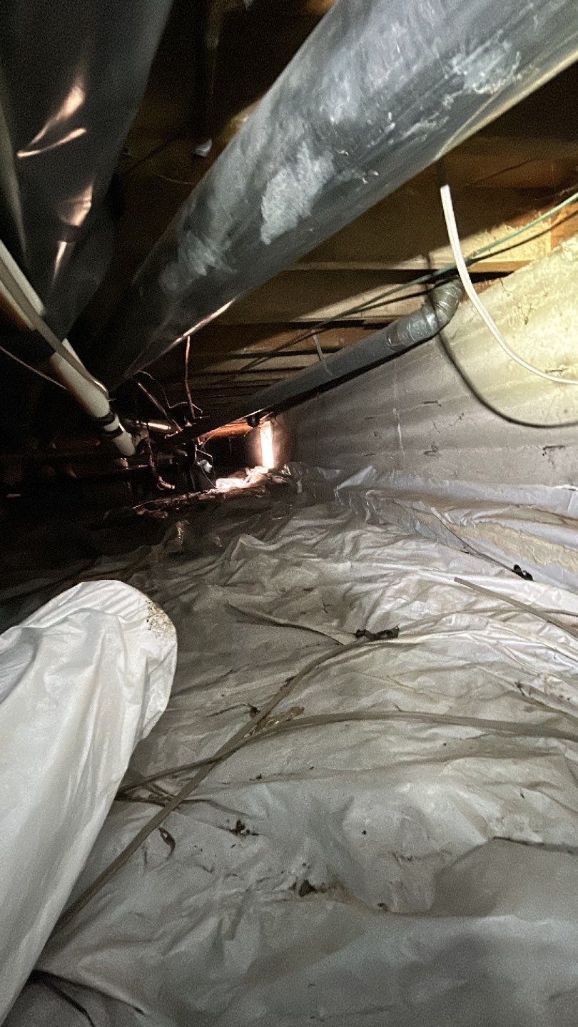 Sewage Backup by Accountable Home Services