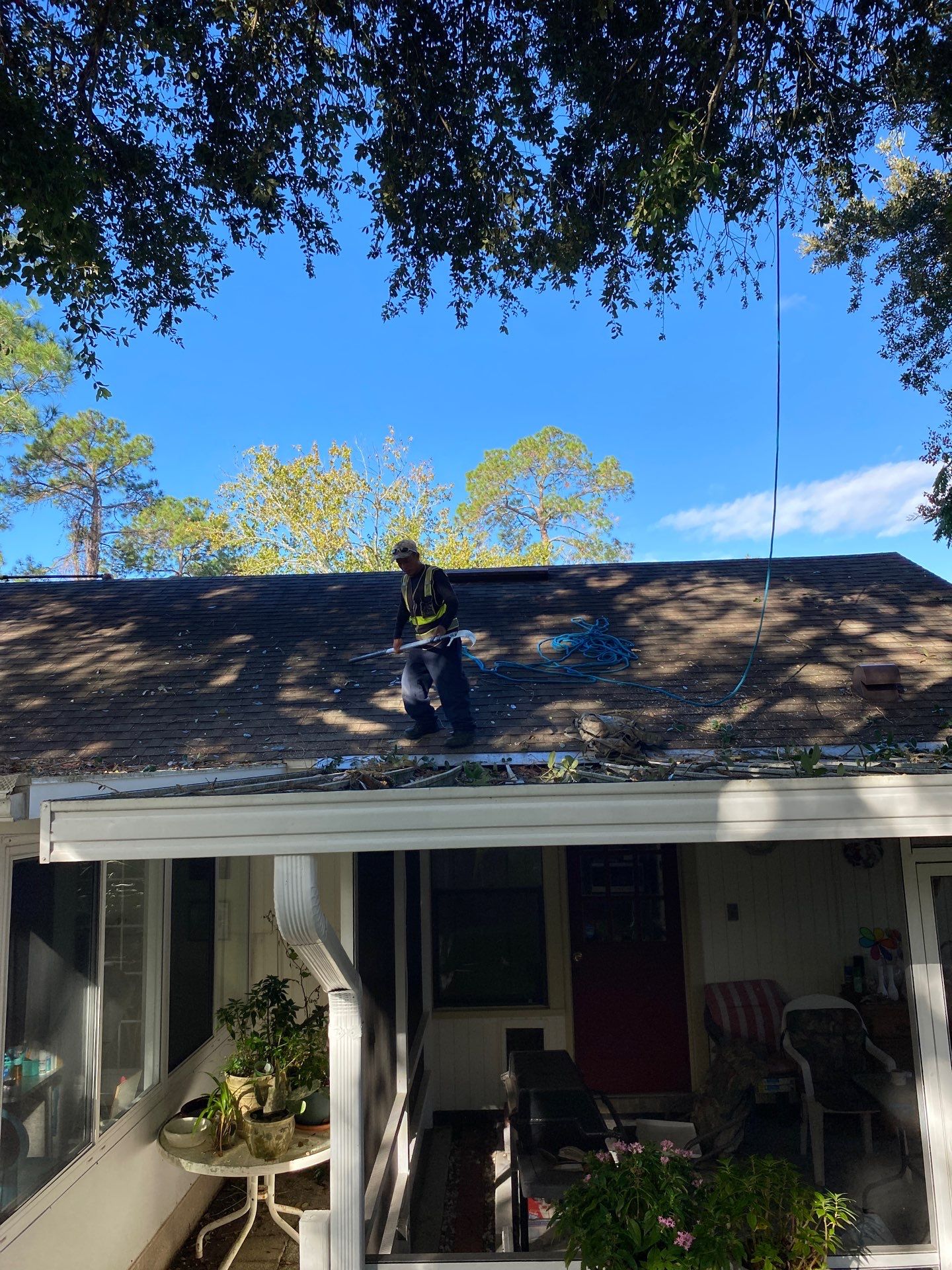 Tree Trimming | Residential by ProGreen Services