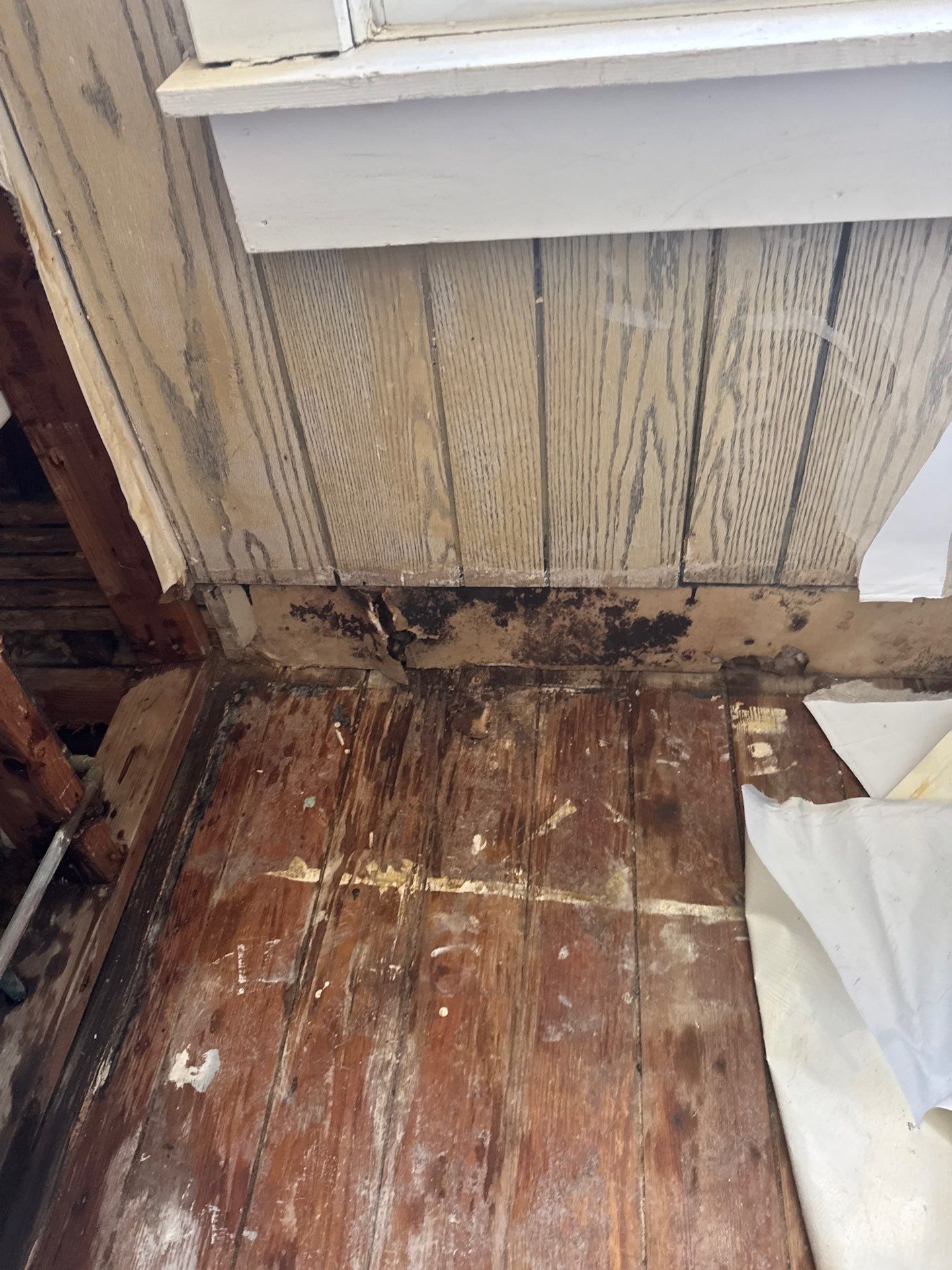 Comprehensive Mold Remediation and Kitchen Restoration in East Islip by Newhouse Restoration