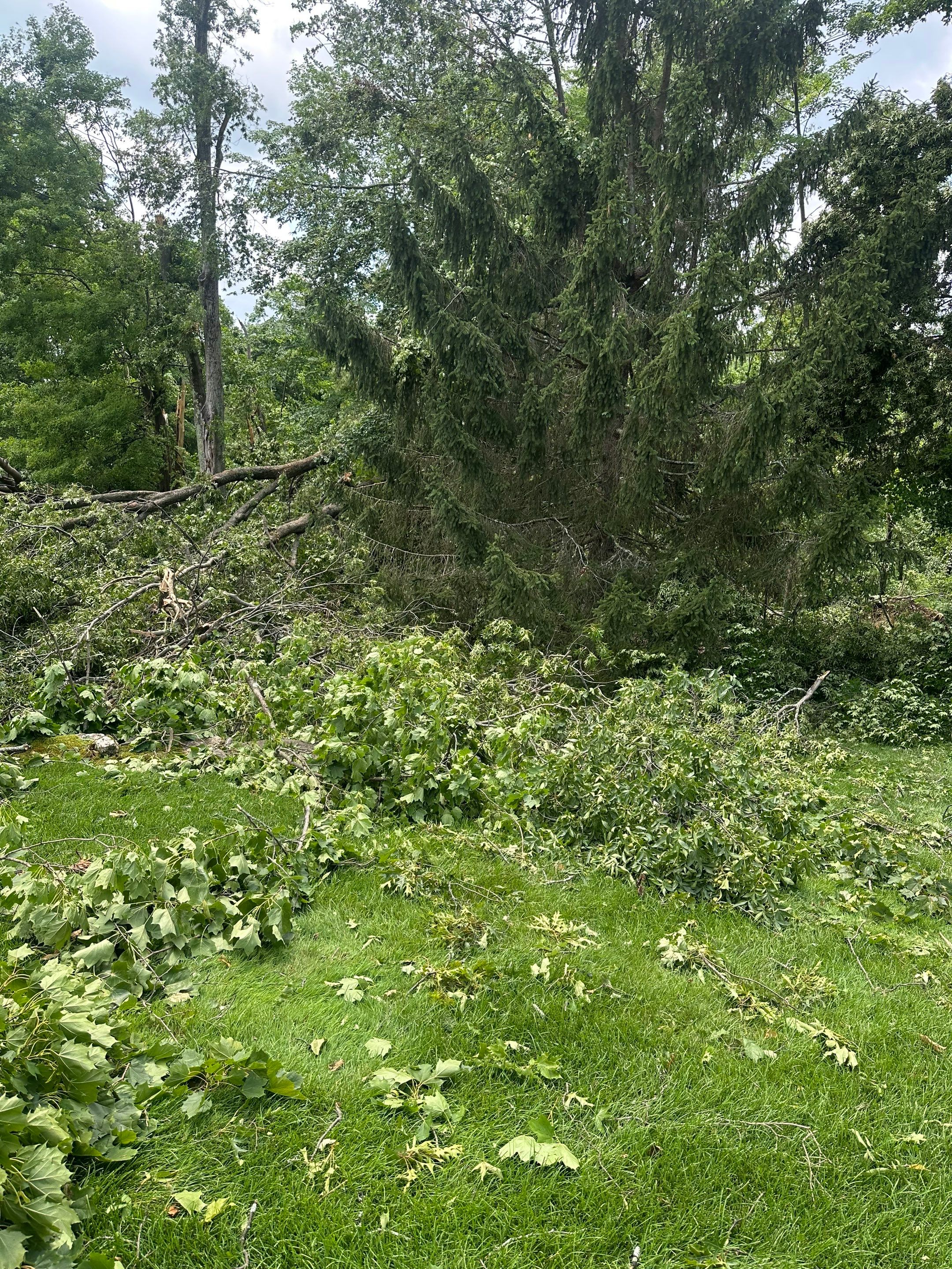 Emergency Tornado Damage Cleanup and Hazardous Tree Removal in Harrison by Fox Hill Luxury Real Estate Services