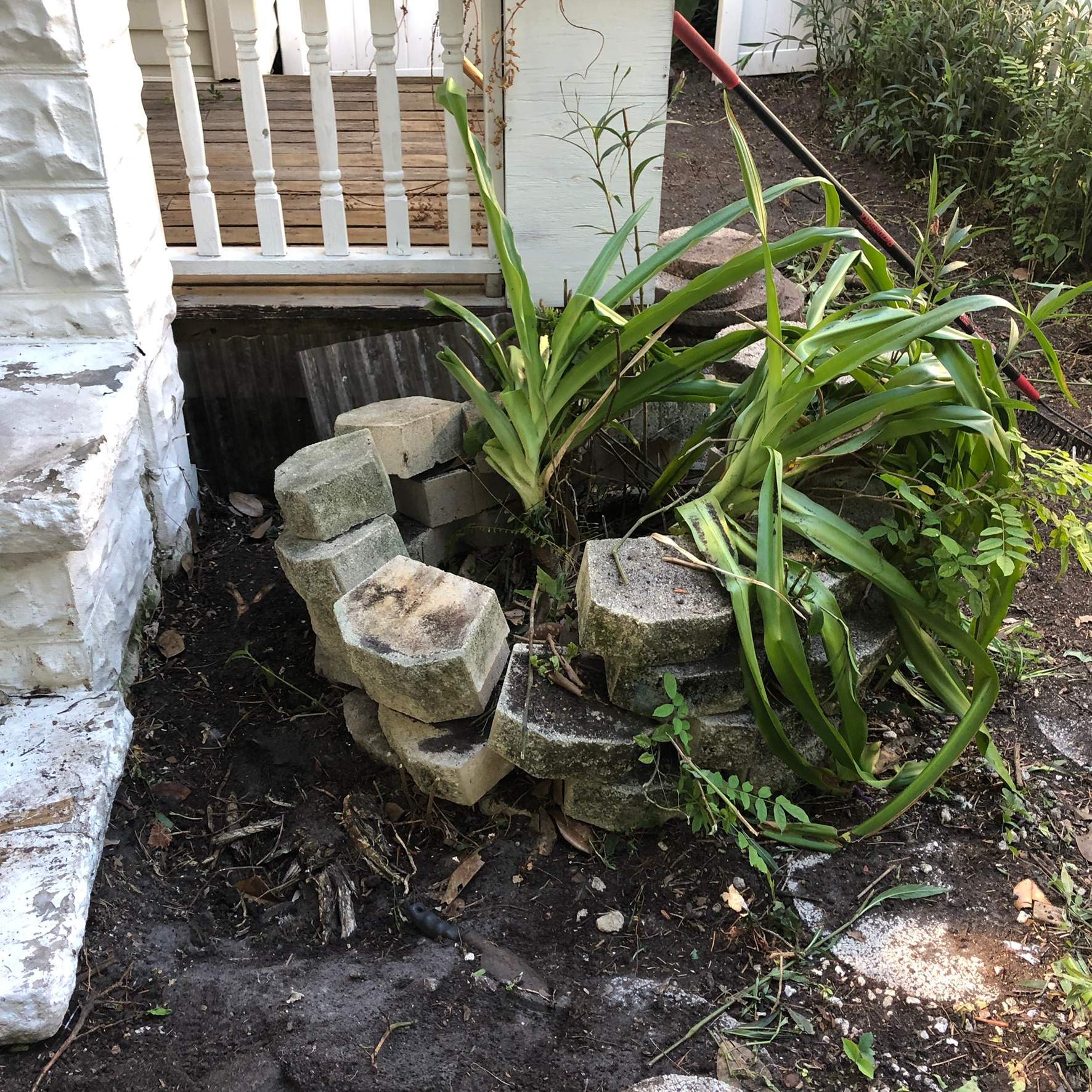 Extreme Clean Up - Landscape Install | Residential by ProGreen Services