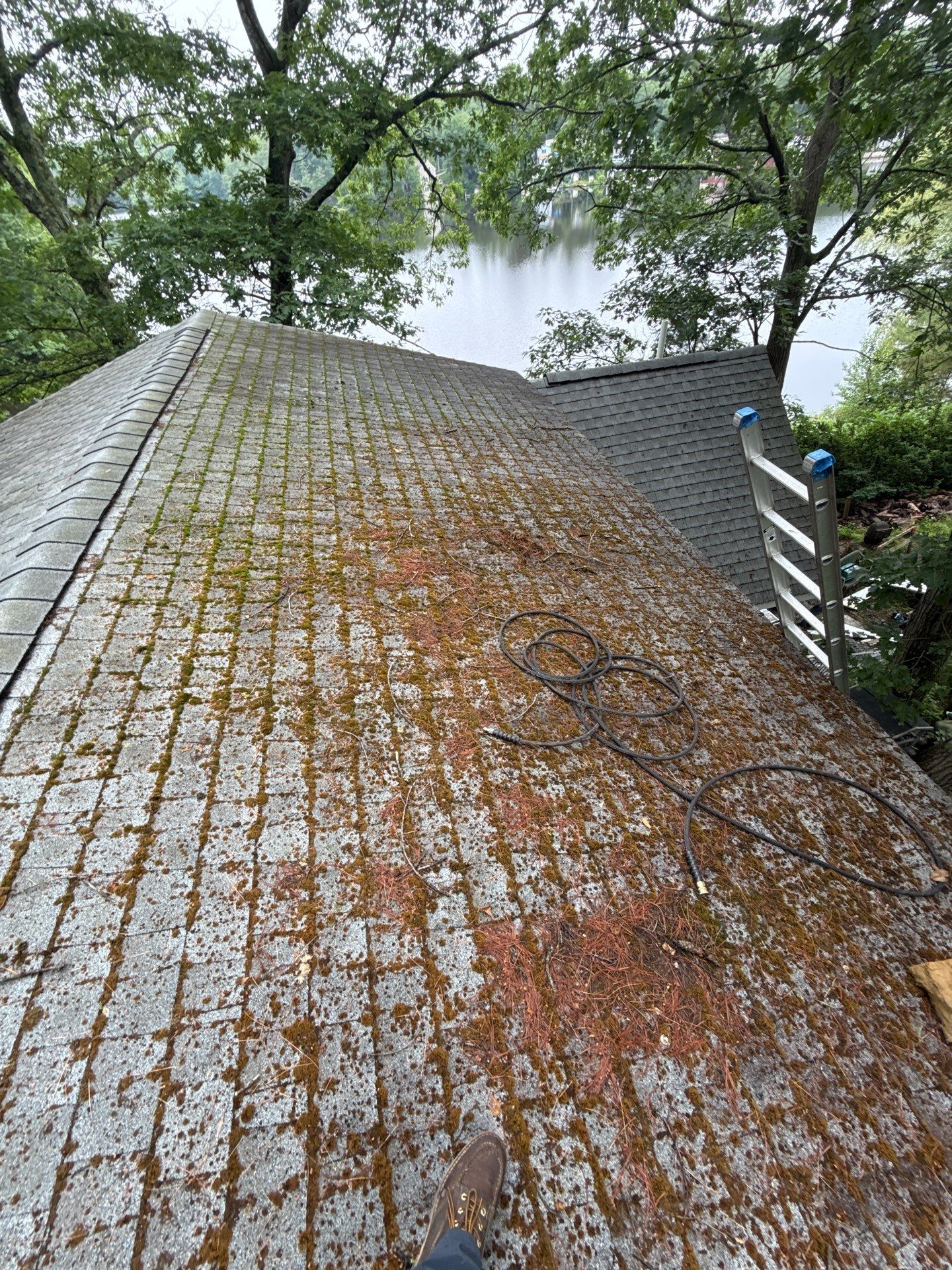 Leak Repair & Roof Wash – Groton, MA by Mighty Dog Roofing of Greater Middlesex County