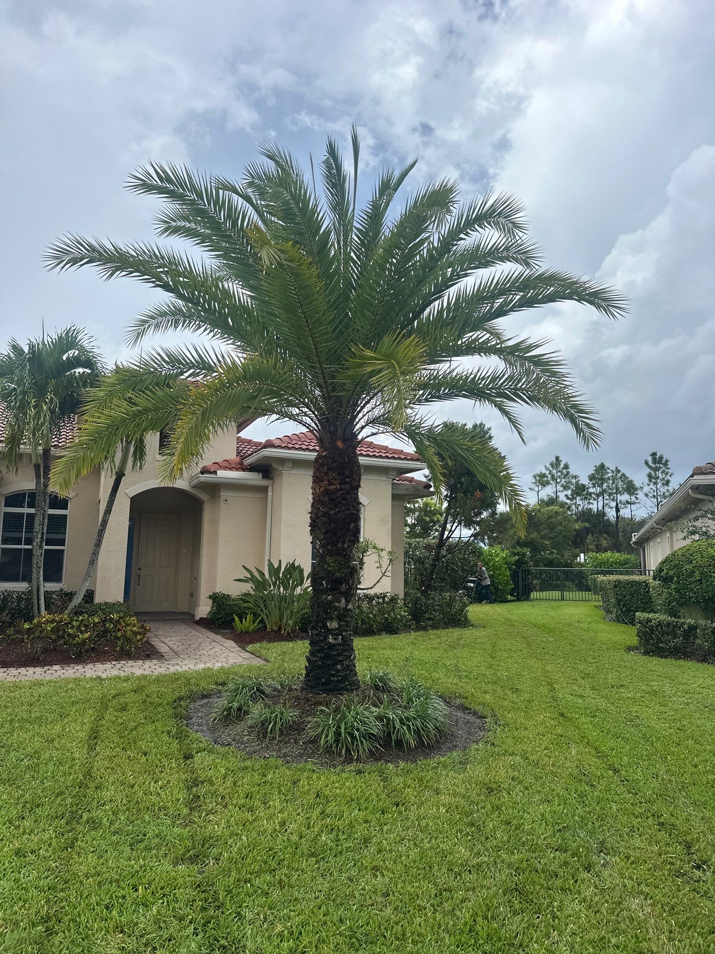 From Overgrown to Picture-Perfect - Stuart Refresh by Alpha Zeta Enterprises Inc