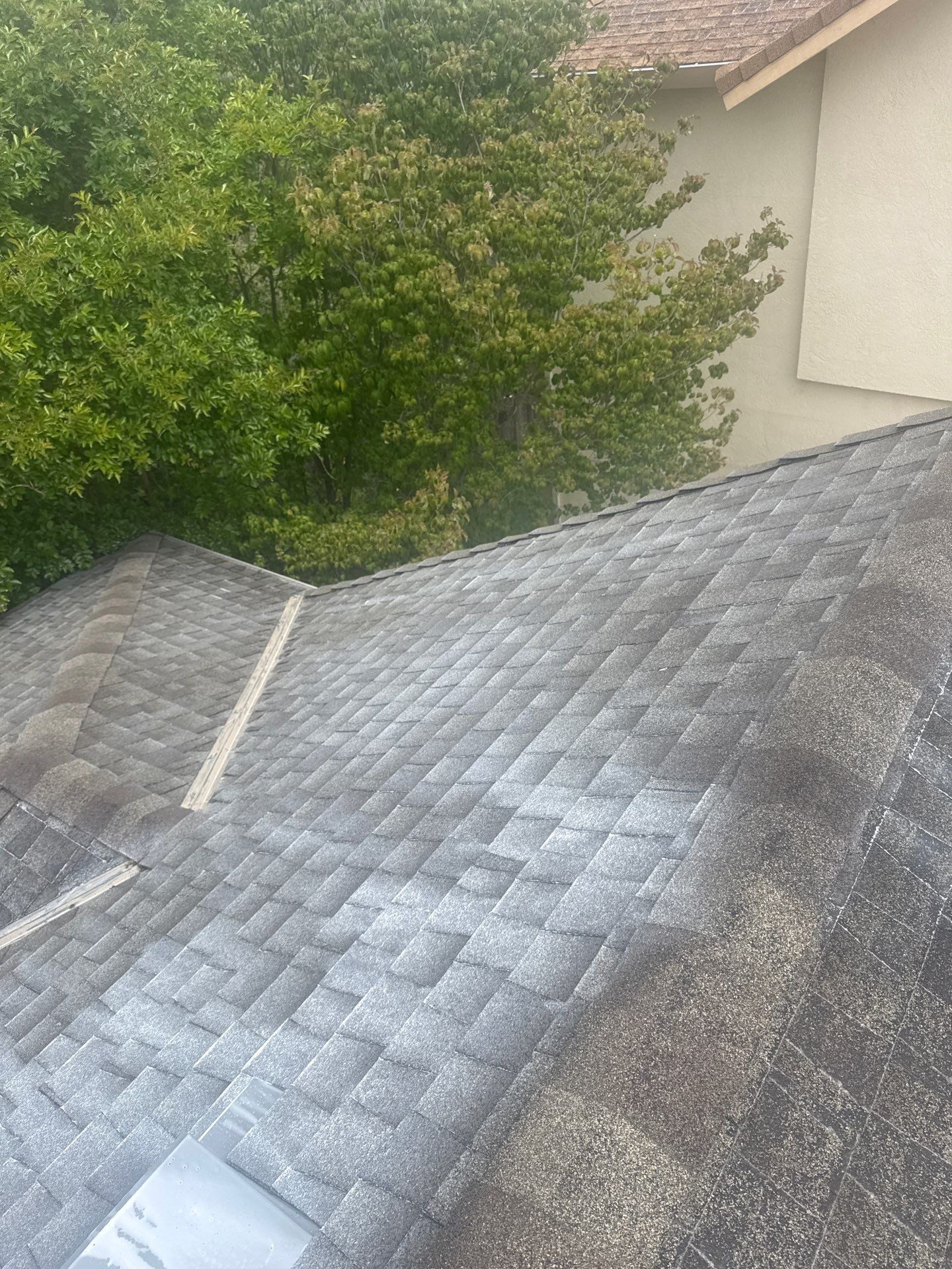 Roof Rejuvenation using Roof Maxx Treatment by Roof Maxx of Folsom