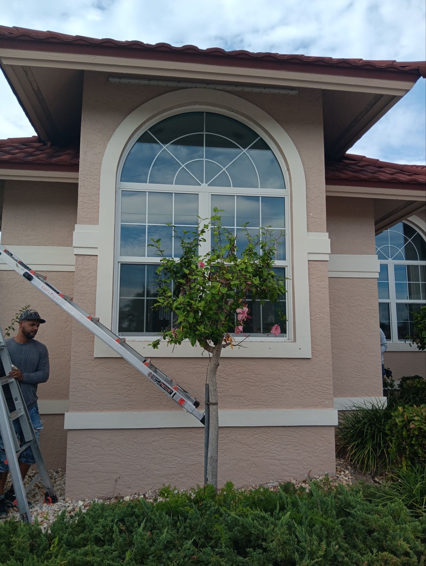 PGT Arch  by Windows For Life 