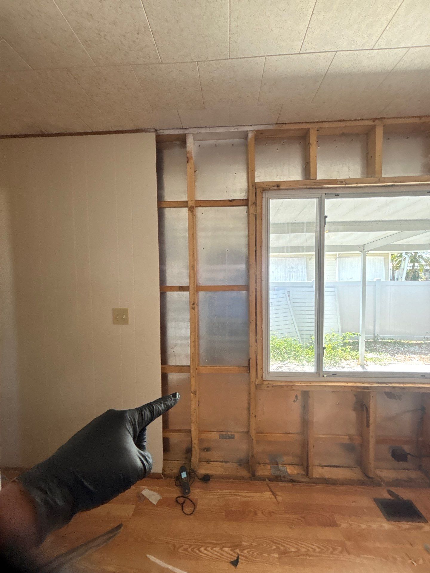 Mold Remediation Bradenton by Ampm Restoration Services 