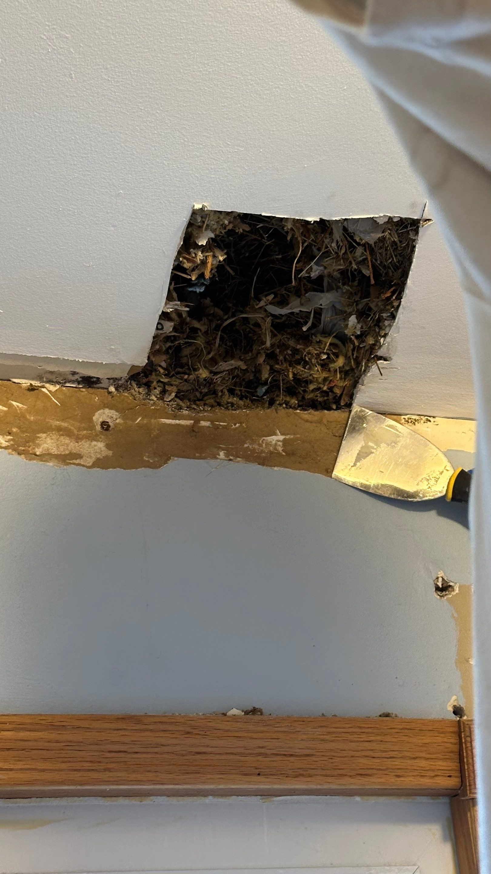 Roof replacement and interior repair by wind damage by Just Brilliant Restoration JBR