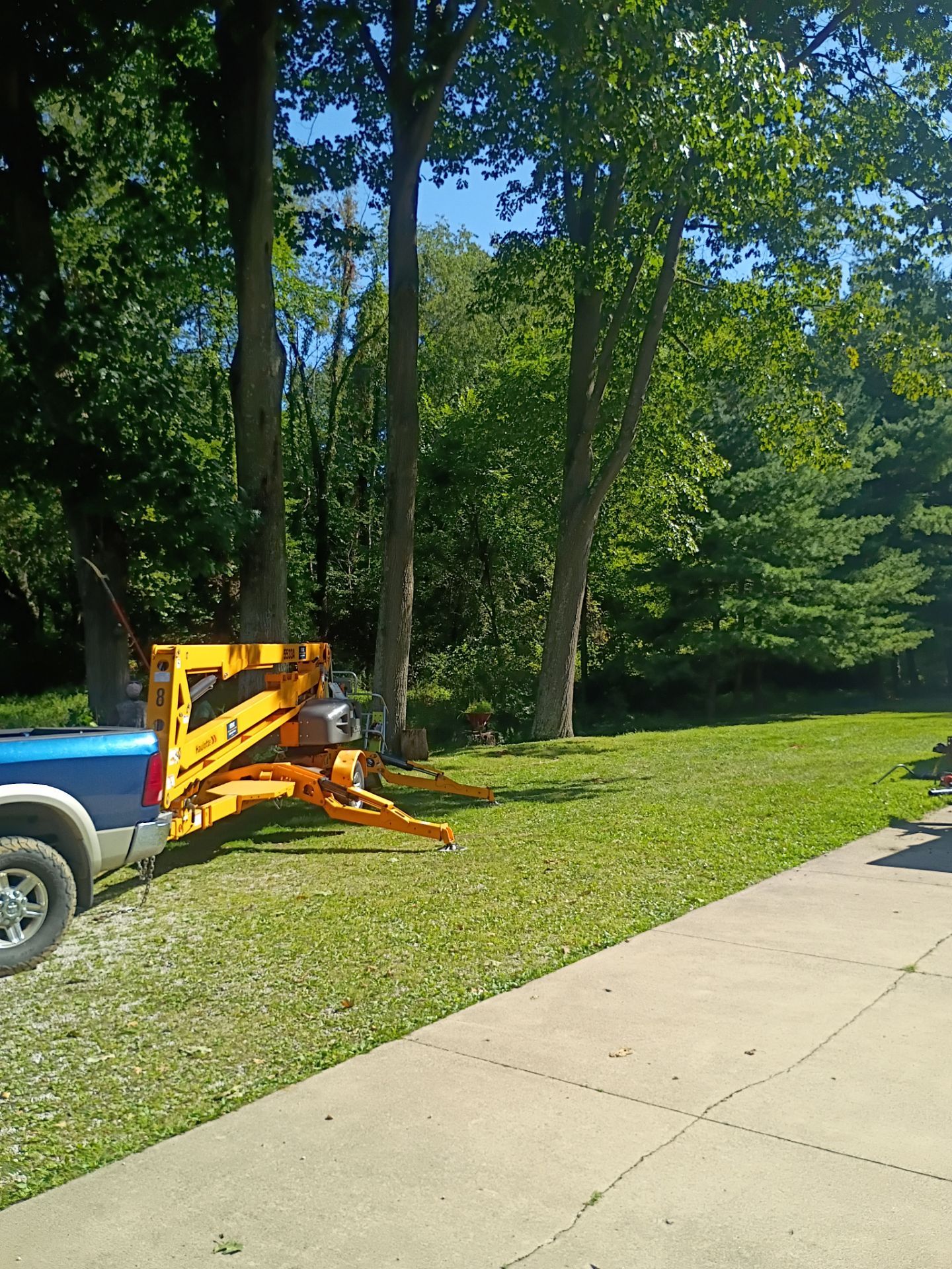 Tree Trimming & Tree Removal in Akron Ohio by Mike Jones & Sons Tree Service LLC 