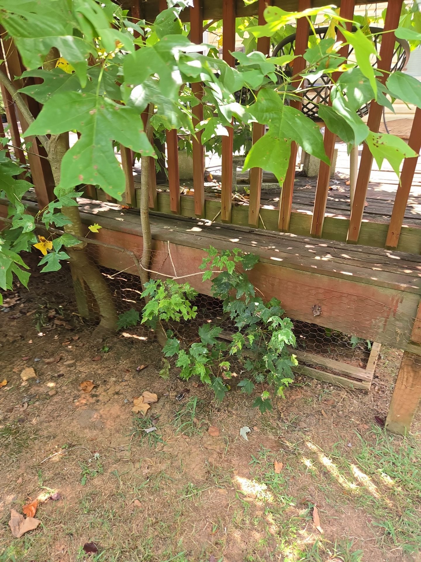Deck Redecking & Custom Stair Rebuild by A Step Above Handy LLC