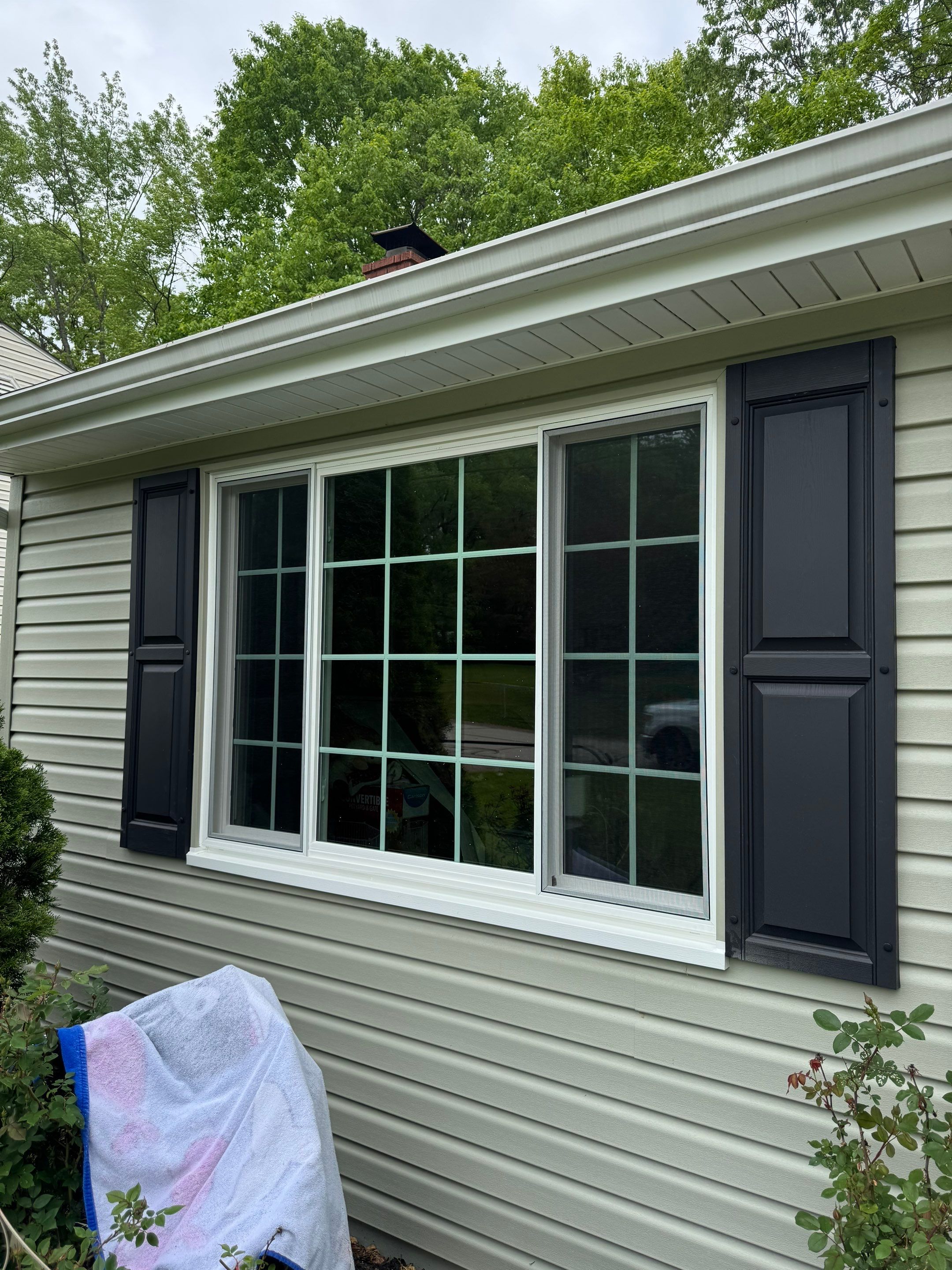 Windows In Canton by Ohio State Windows