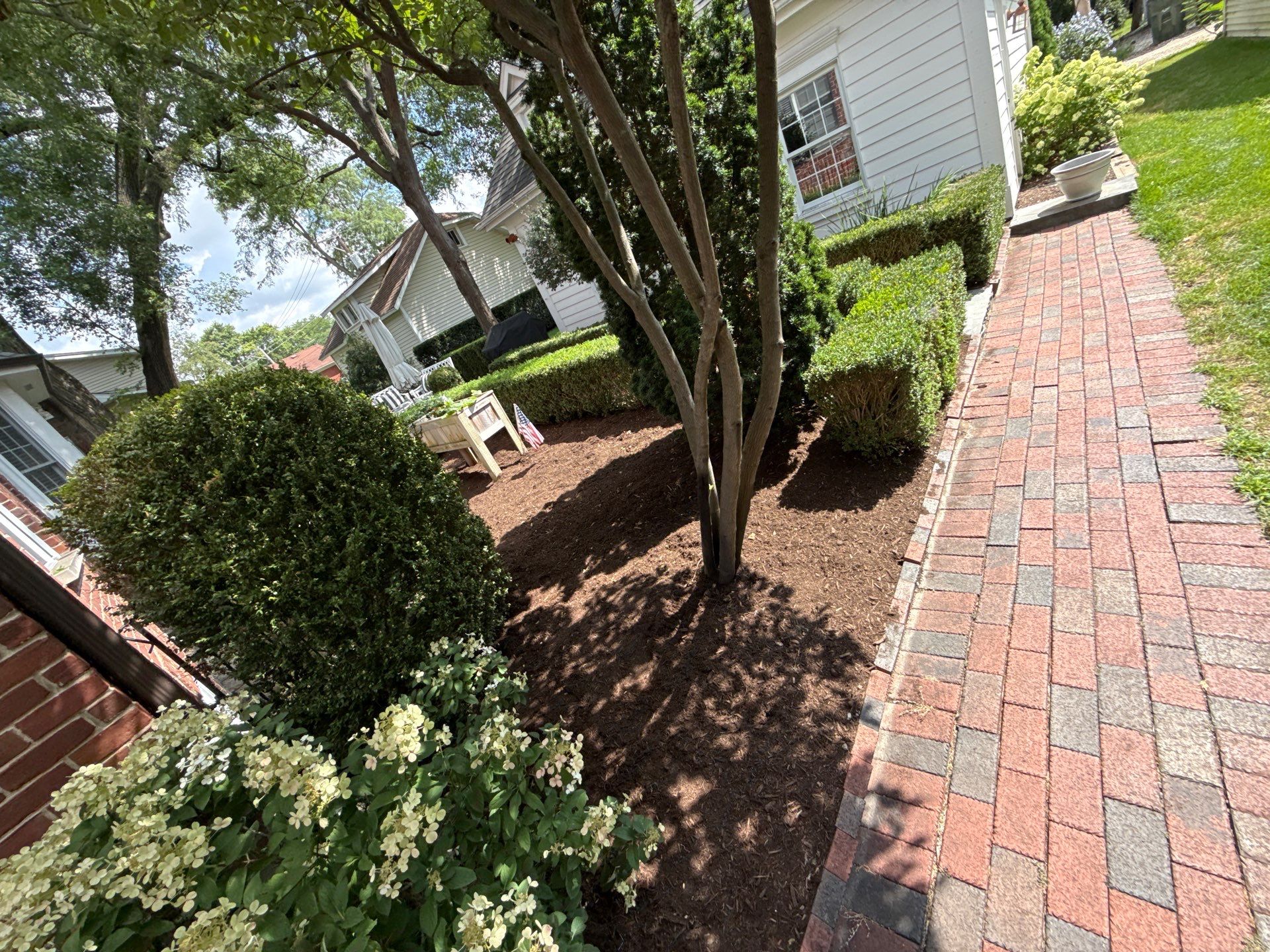 Jason G. - Arlington Heights, IL by A&N