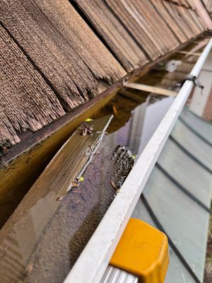 Turtle Shell gutter protection installation in St. Charles, IL 60174, photograph 17
