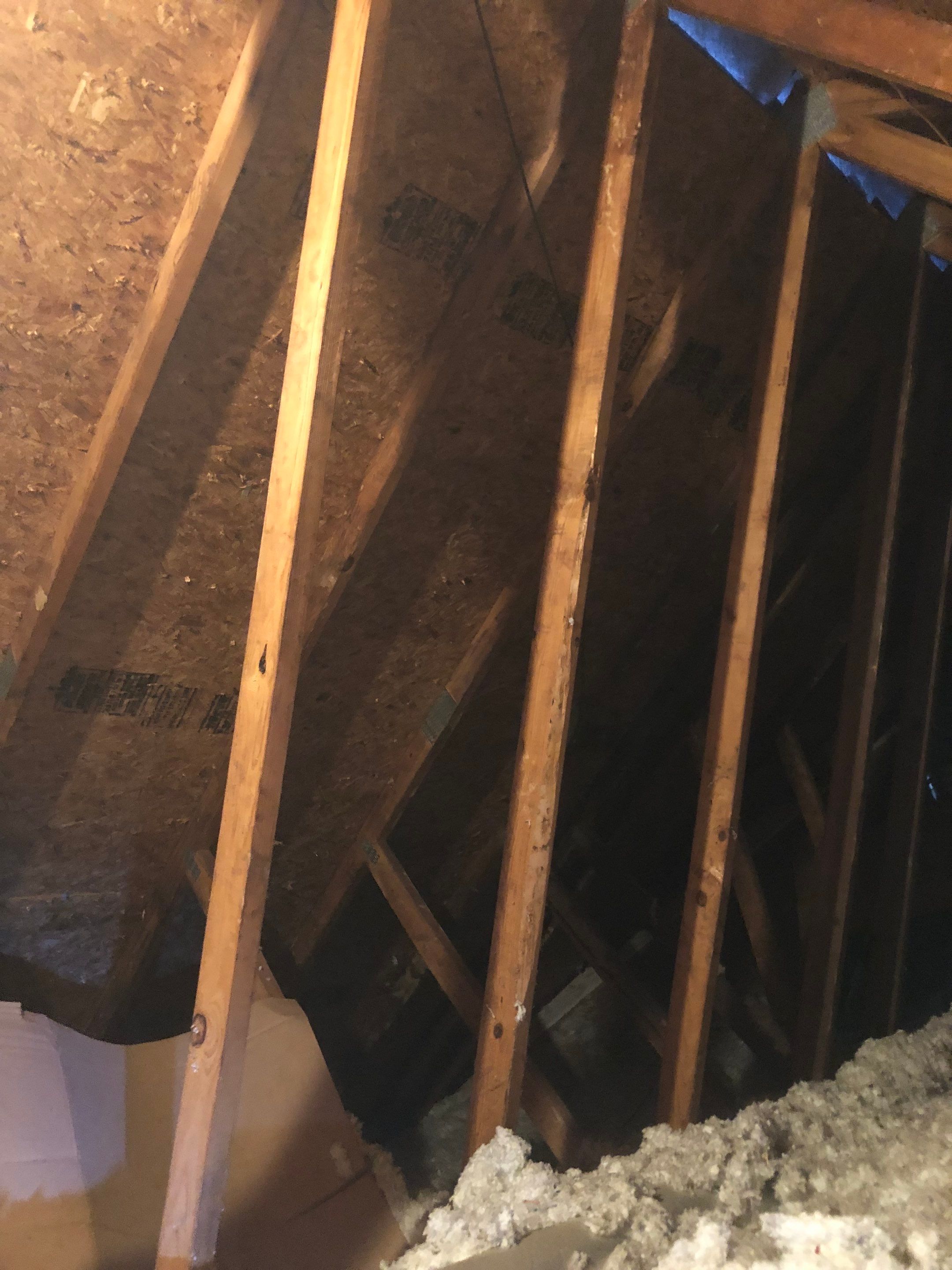 Vienna: CertainTeed Landmark Pro Designer Shingles in Max Def Moire Black by RM Banning, Inc.