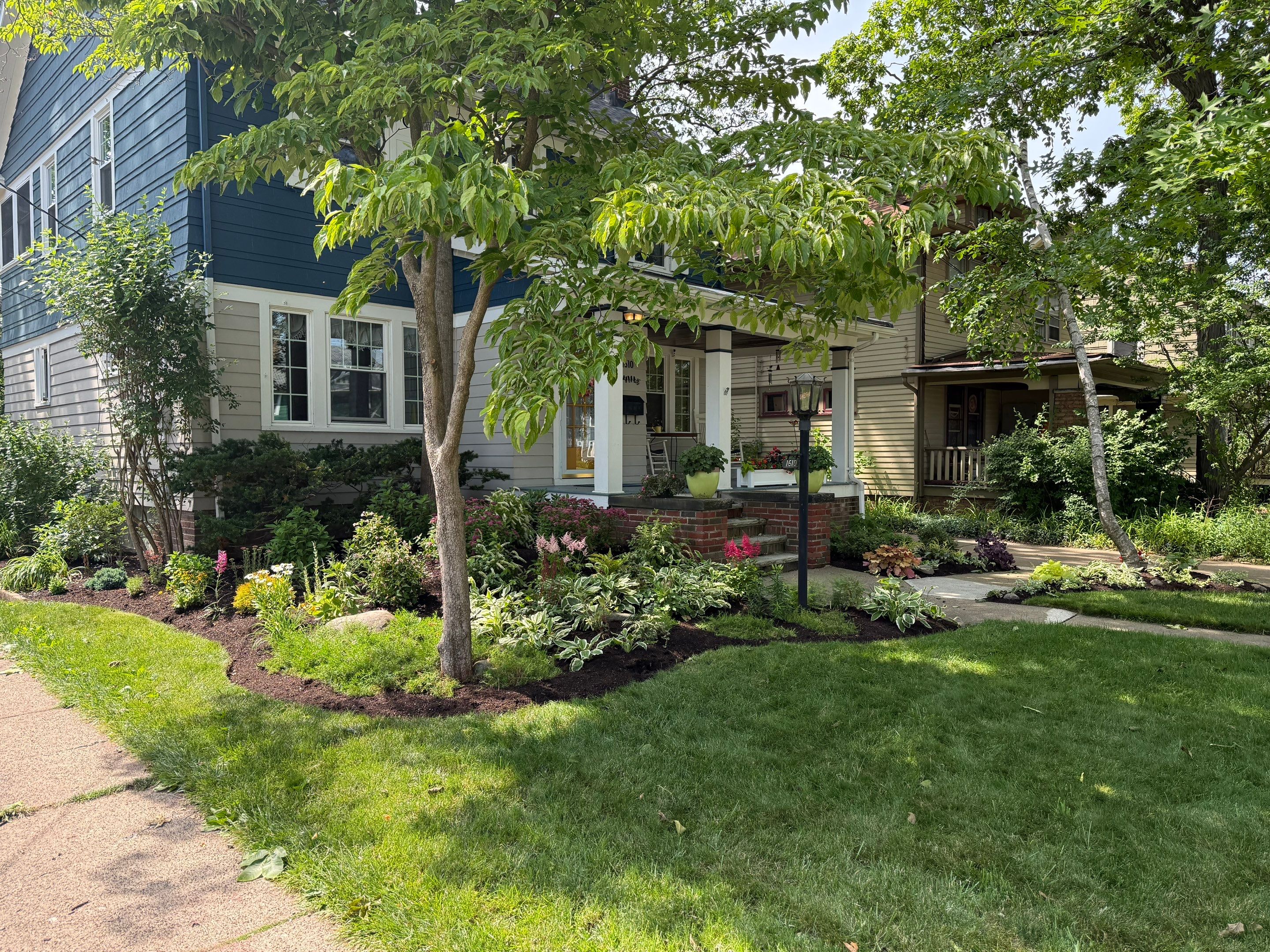 Woodland Flora Project by Elm Rose Gardens