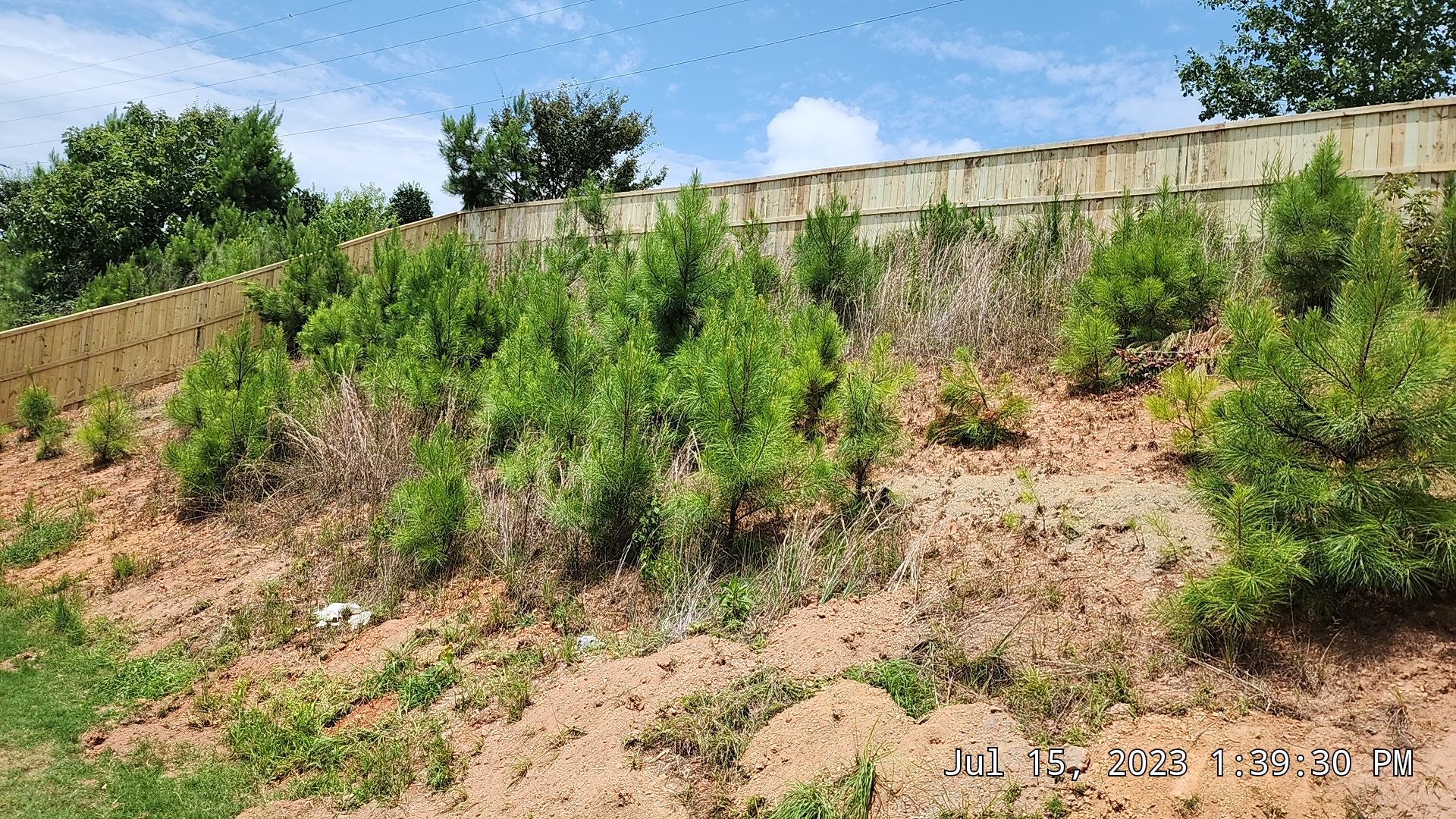Fence Installation of Capped Wood Privacy by Titans of Timber Fence & Stain