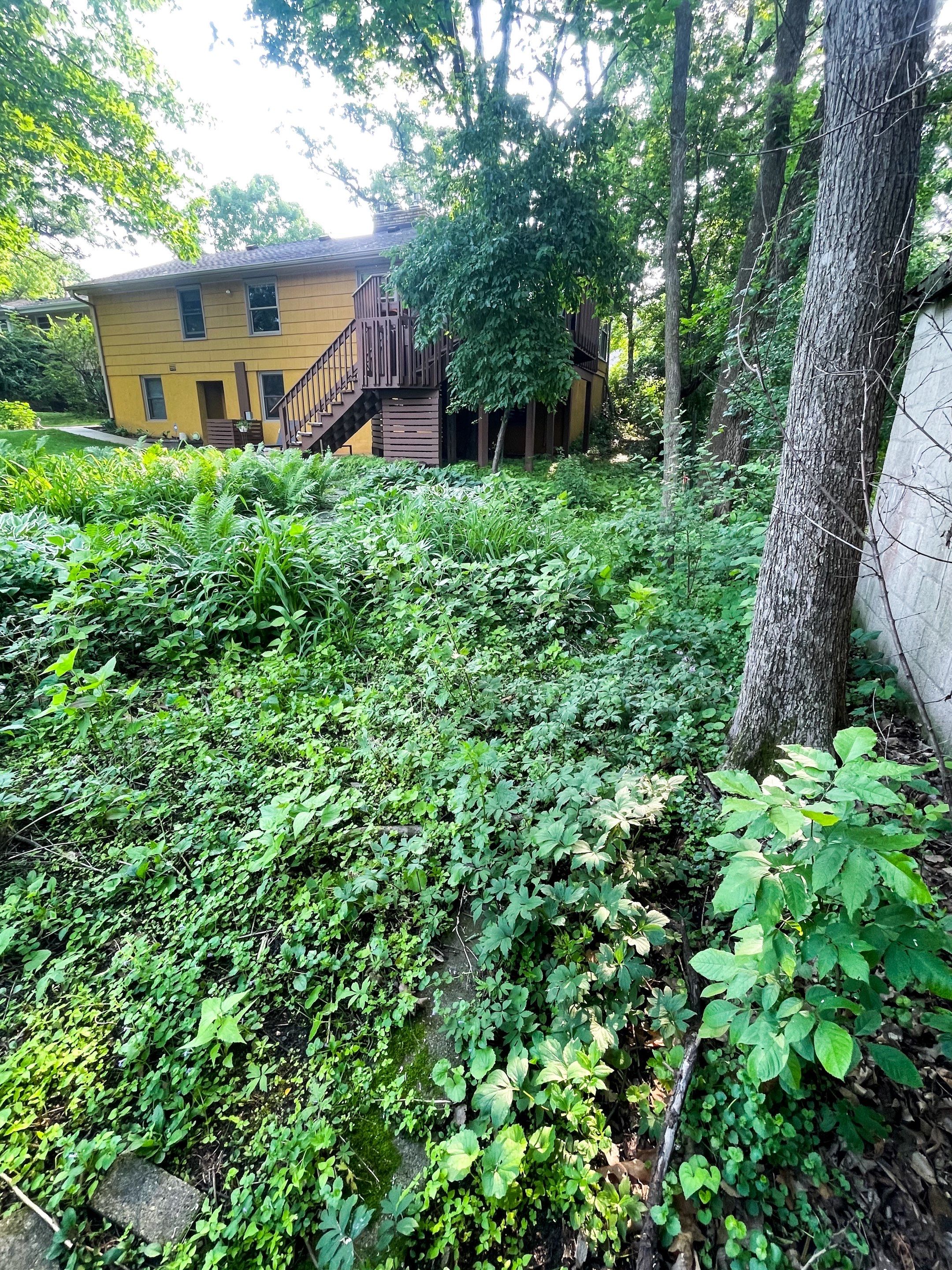 Landscape Renovation by Sota landscaping