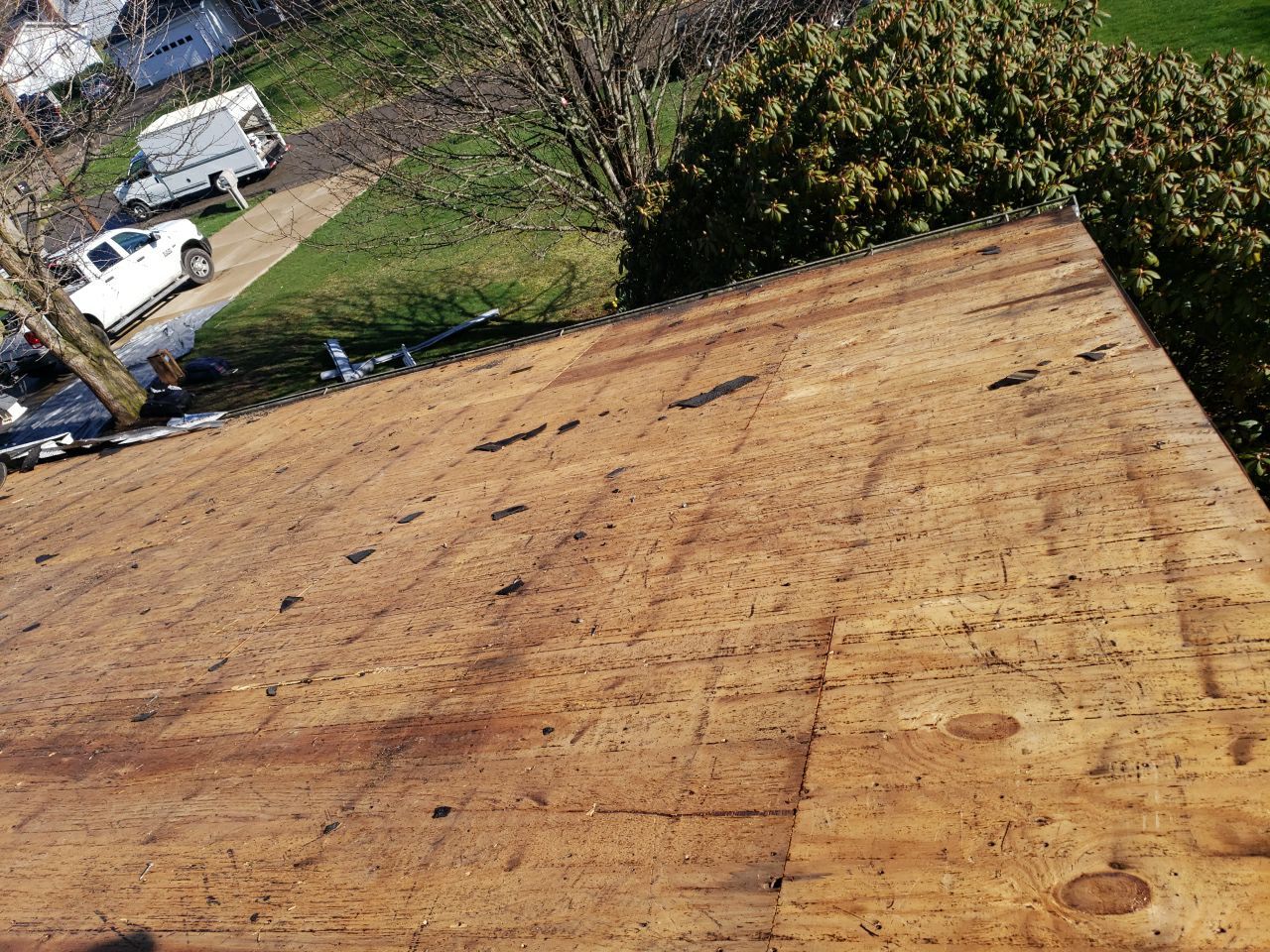 Brand: Atlas Pinnacle Color: Pristine Scotchgard Copper Canyon Drip: Musket Brown by Eagle Eye Roofing