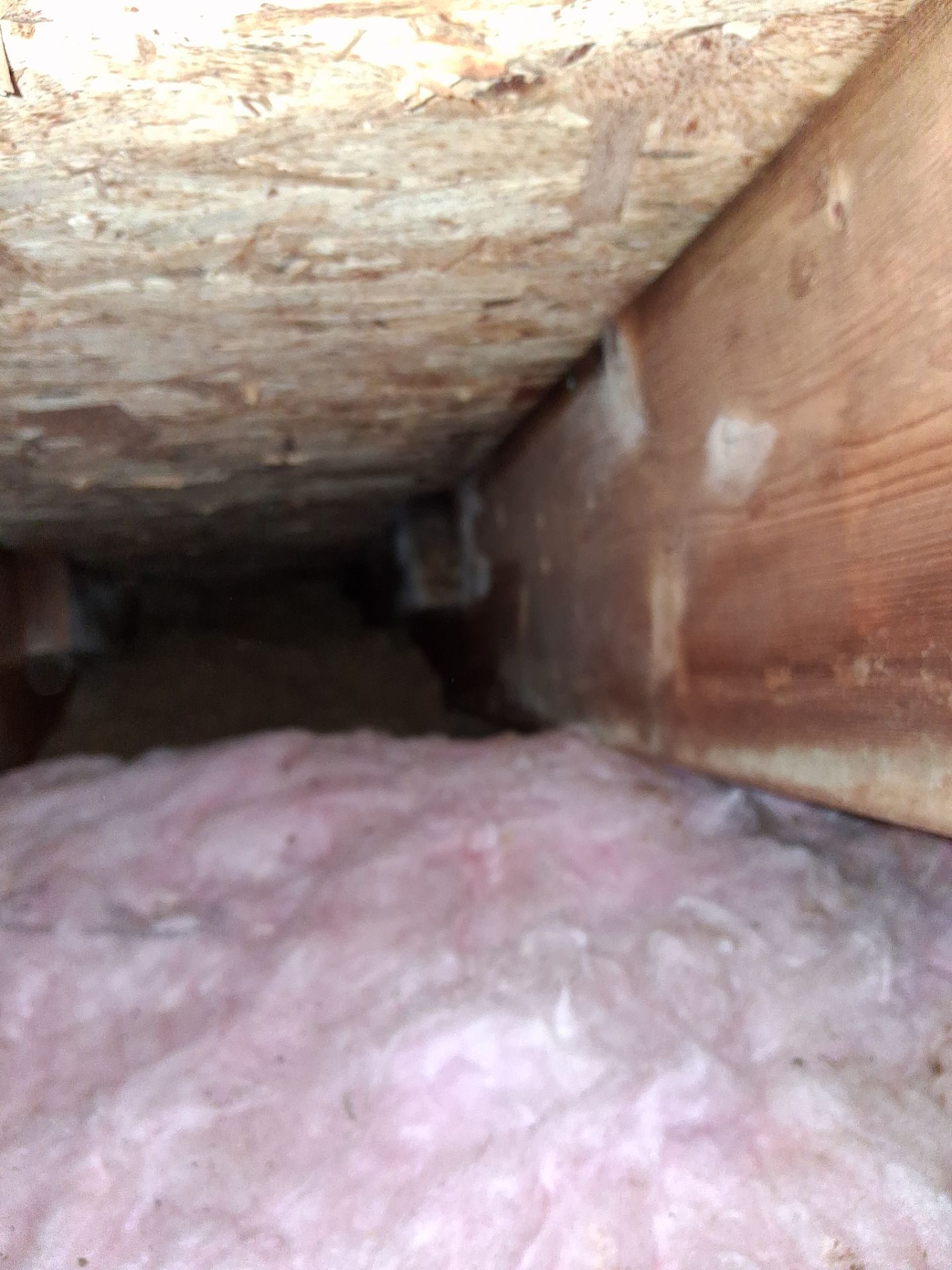 Attic Insulation and Repair by Toledo Basement Repair