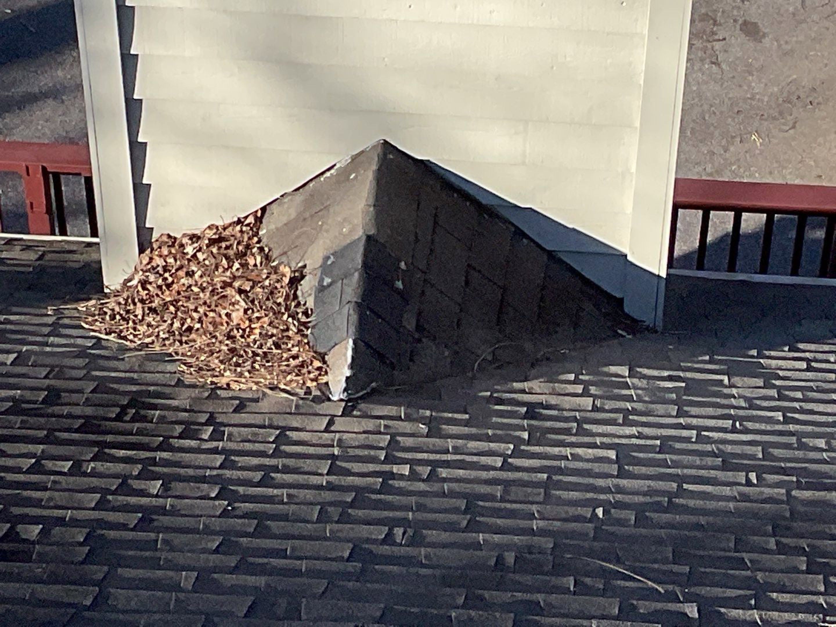 Install new shingles and new skylights  by Alpha Design Services