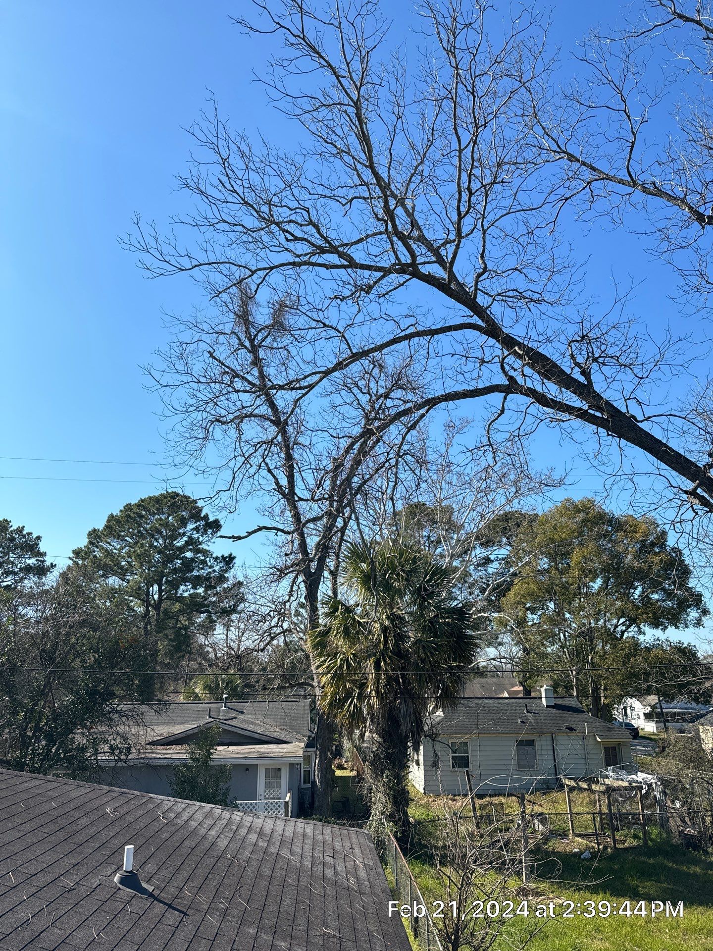 Atlas Pinnacle Pristine: Transforming Residential Roofscapes with Superior Installation by Talya Roofing