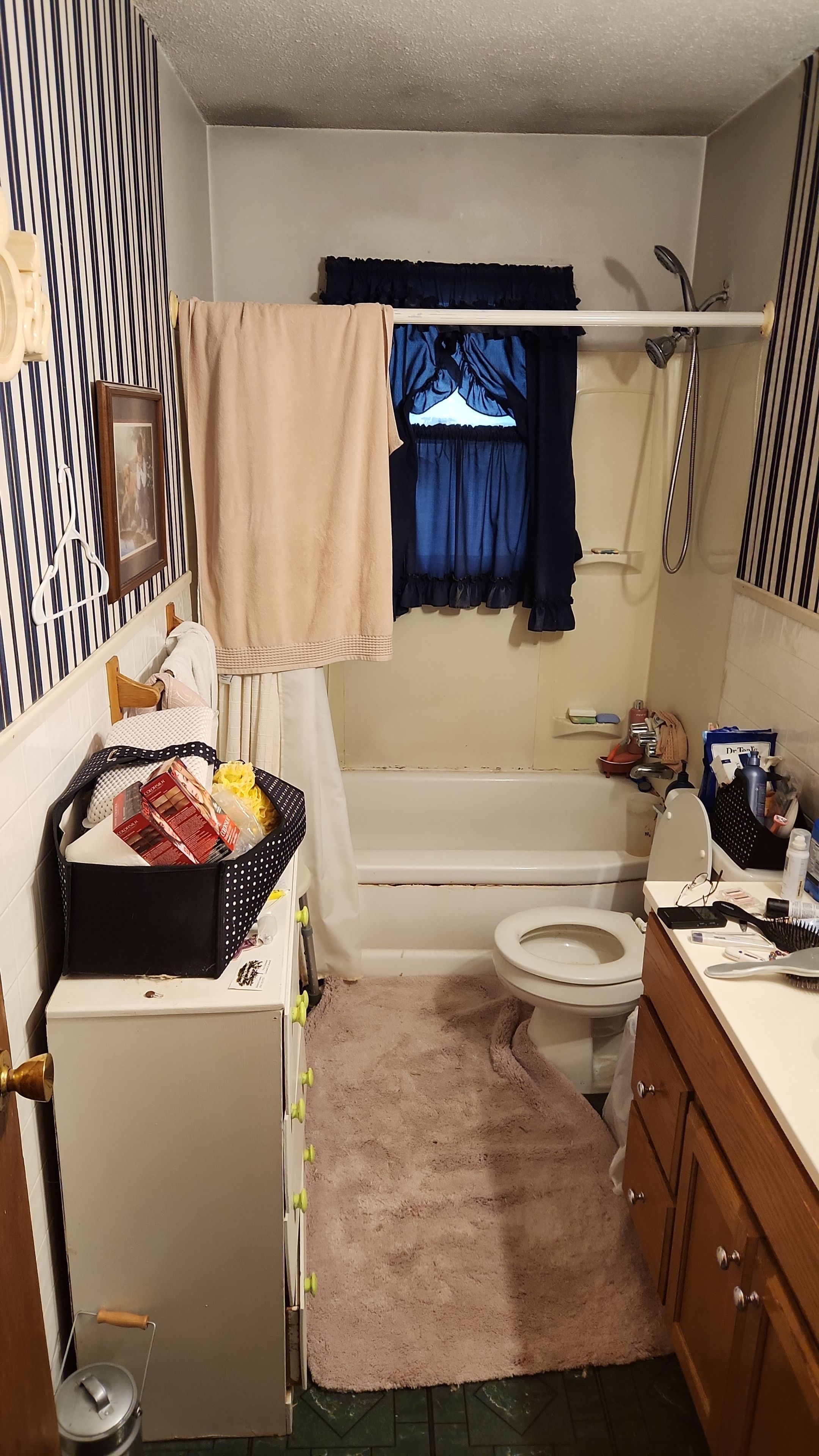 Bathroom Remodel by The Shower Company