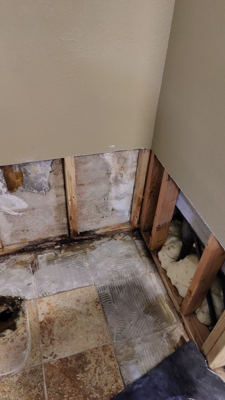 Water Damage and Mold Remediation by Accountable Home Services