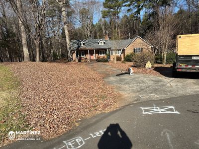 Leaf removal from gutters and yard